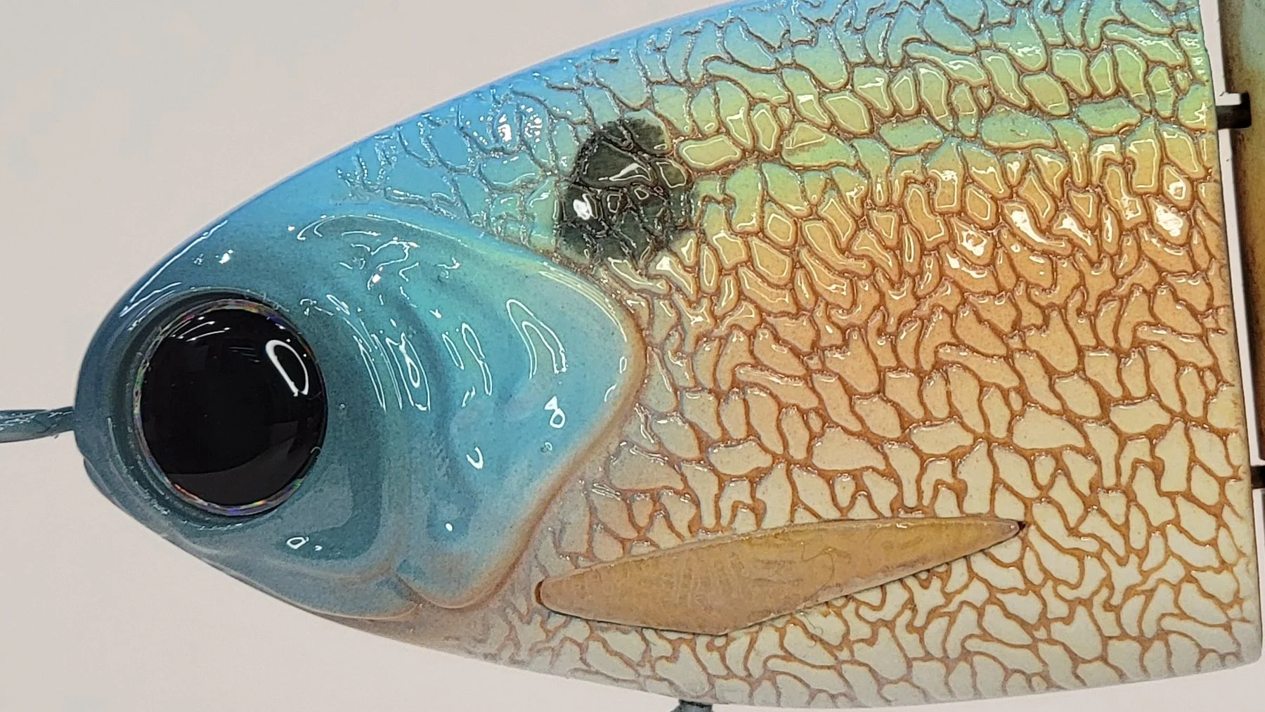 very sexy shad head.jpg