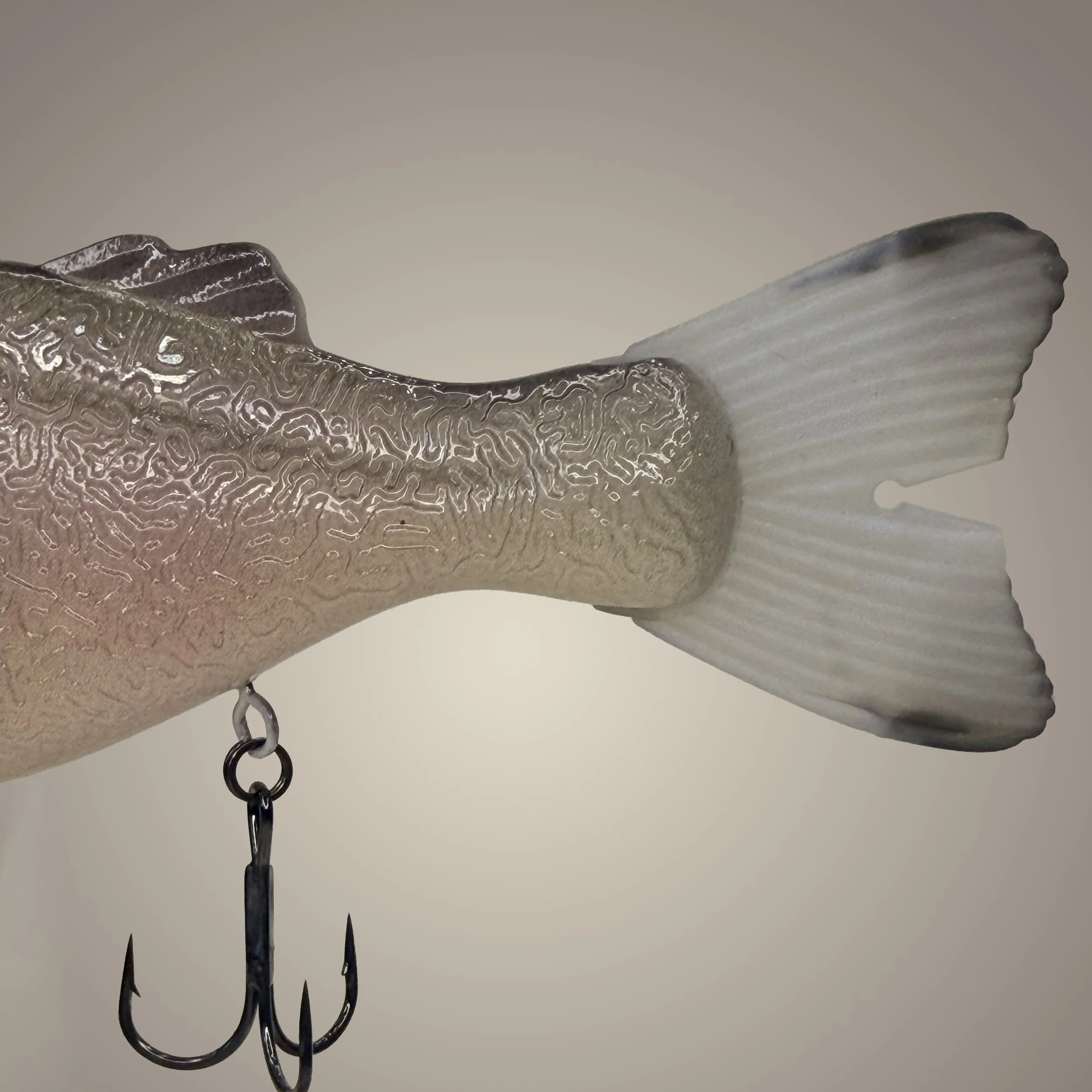 dark shad tail.jpg