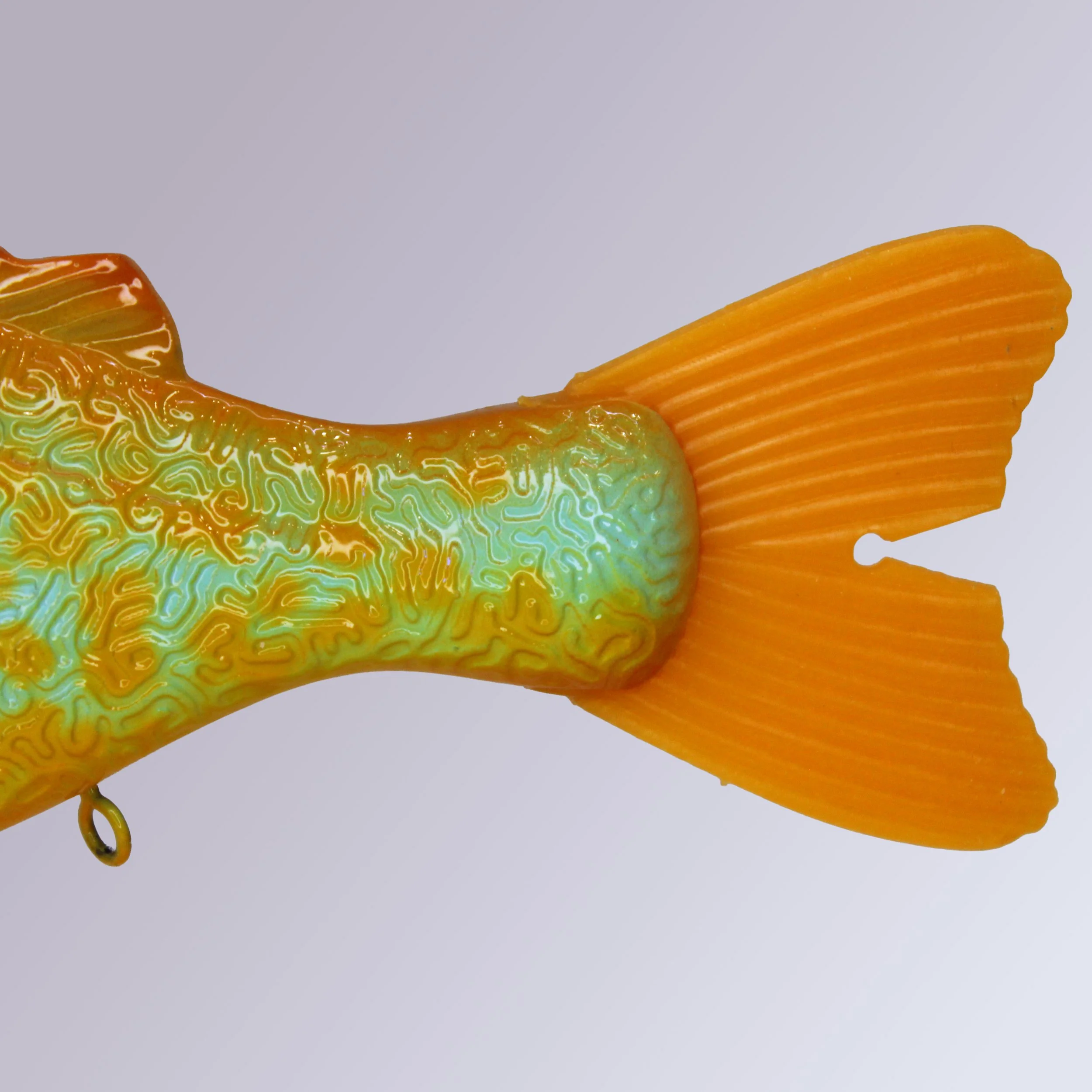 yellow tail.jpg