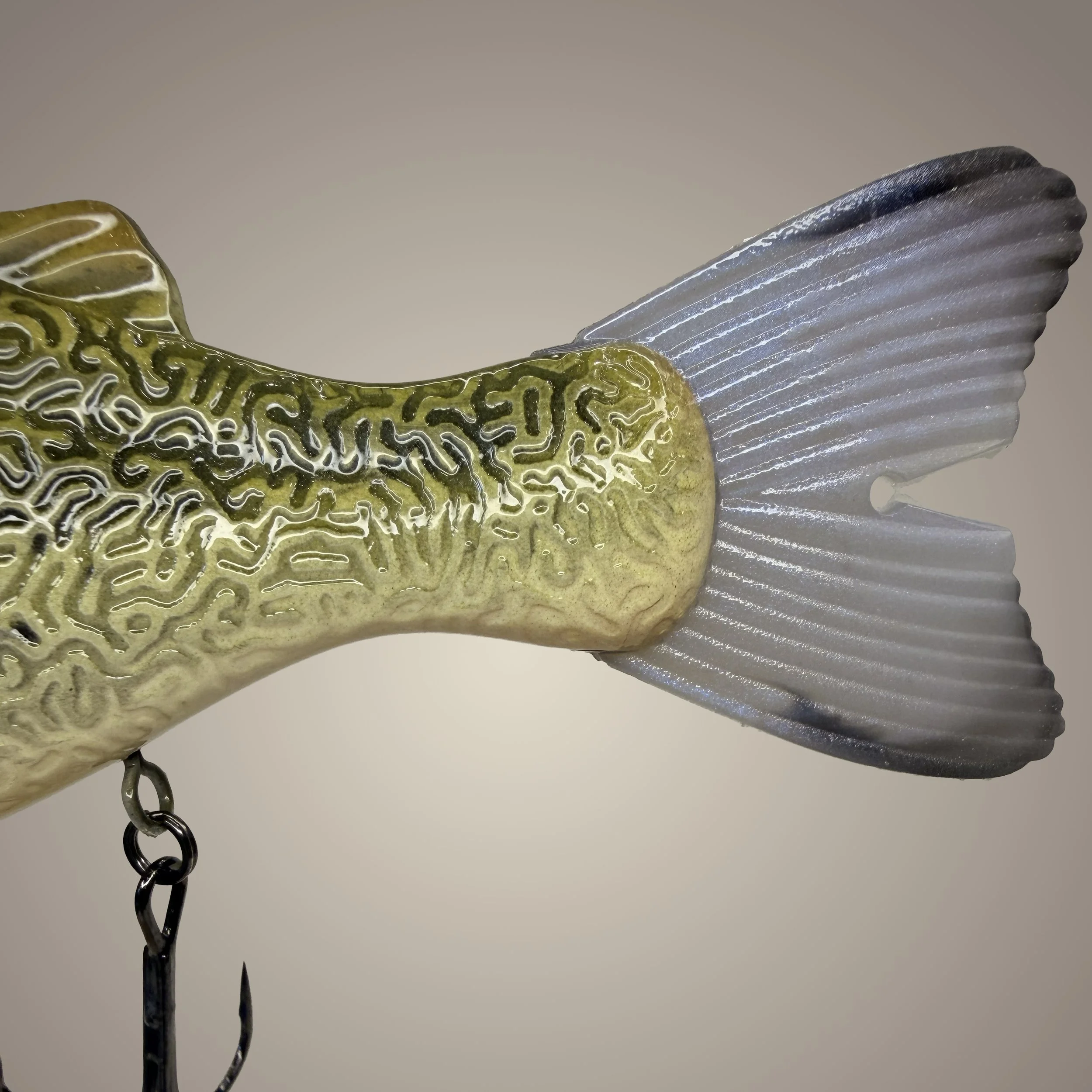 baby bass tail.jpg