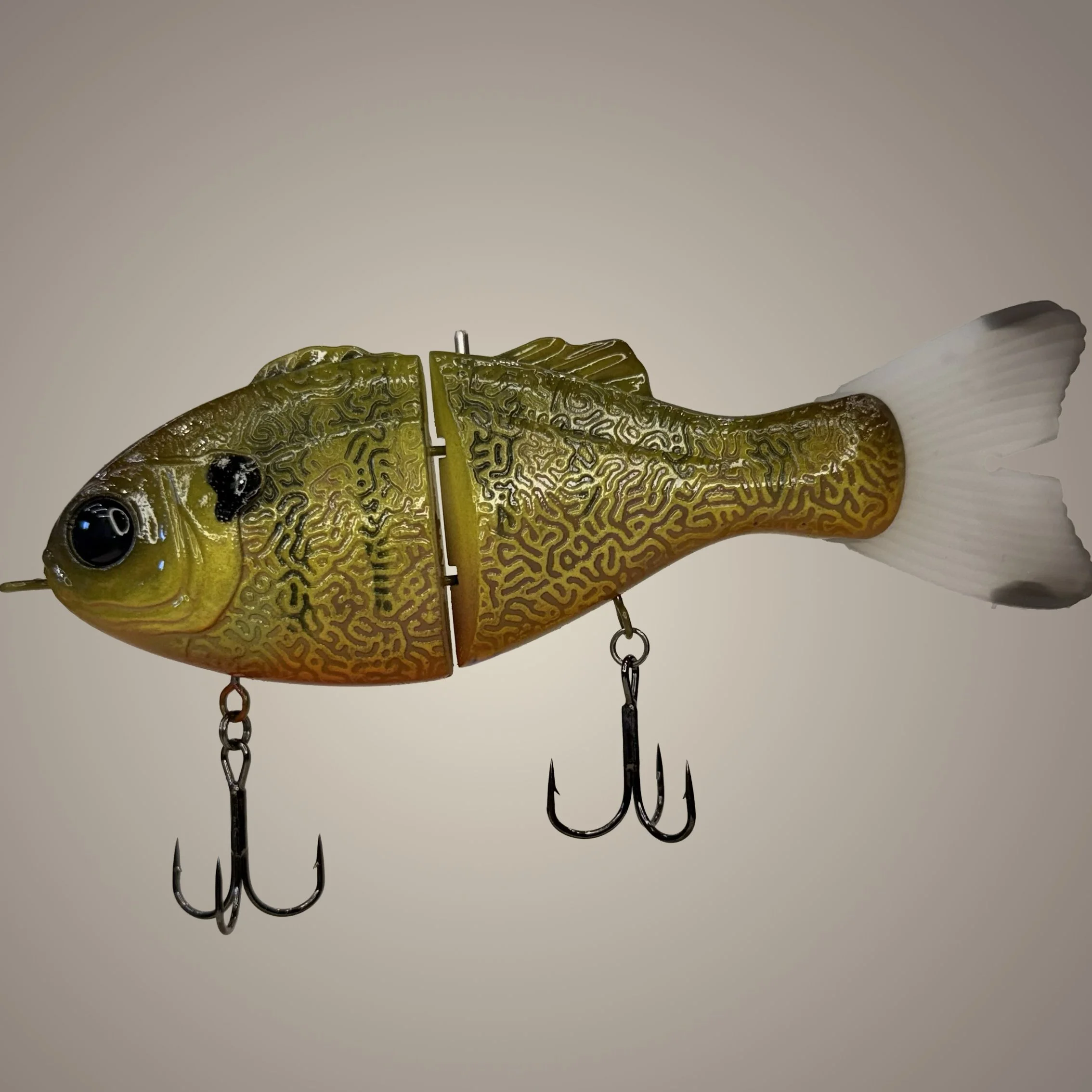 dropout gill.jpg