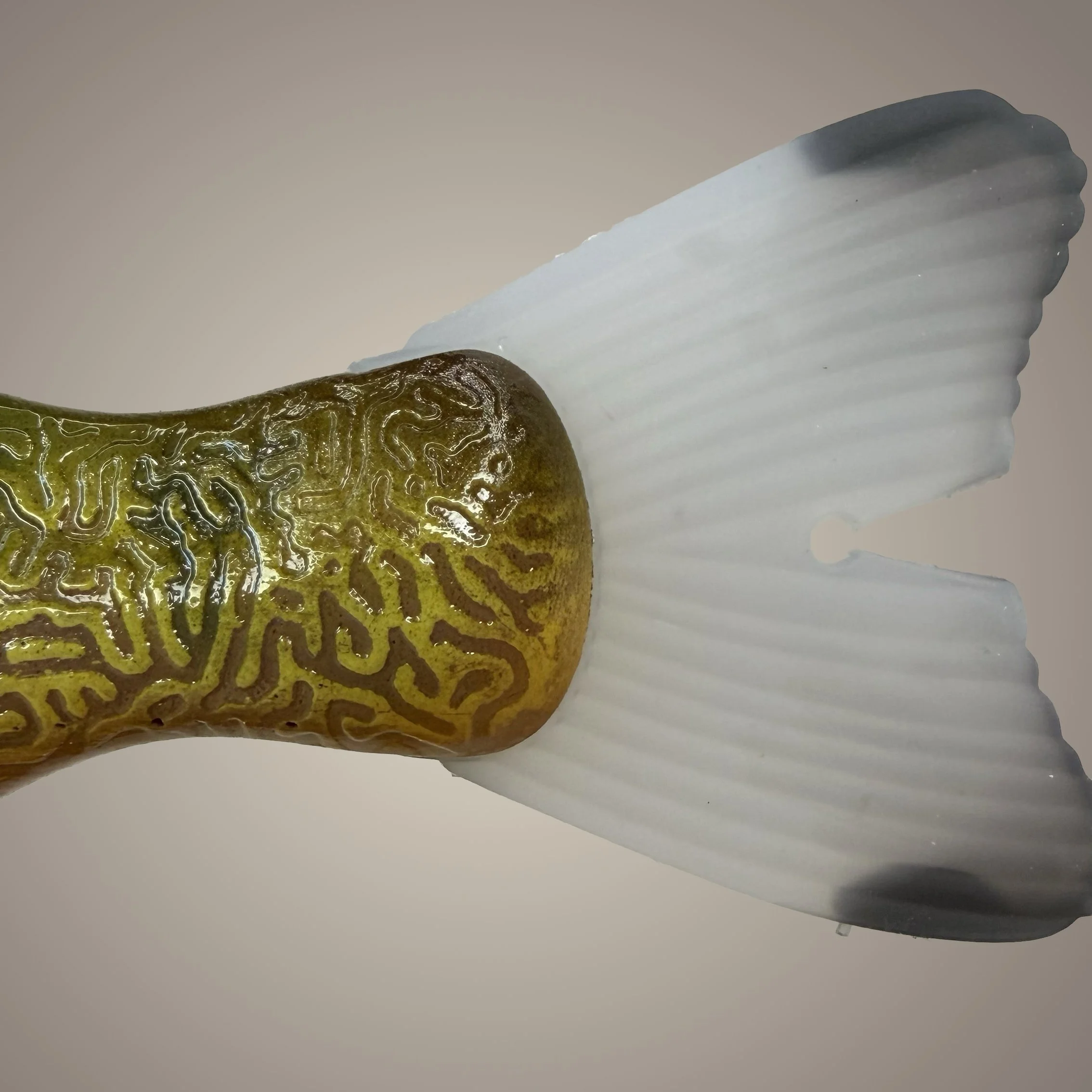 dropout gill tail.jpg