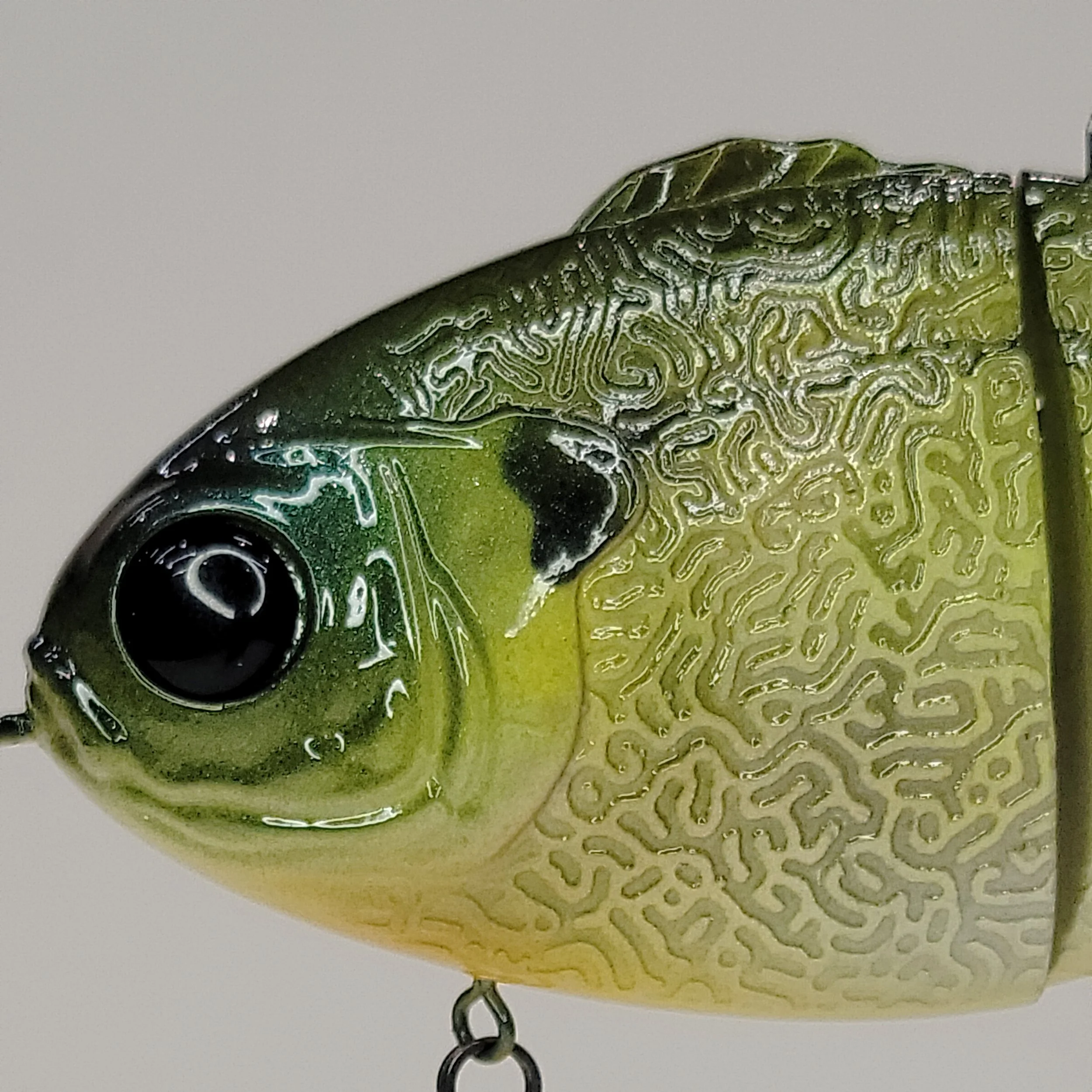 green gill head.jpg
