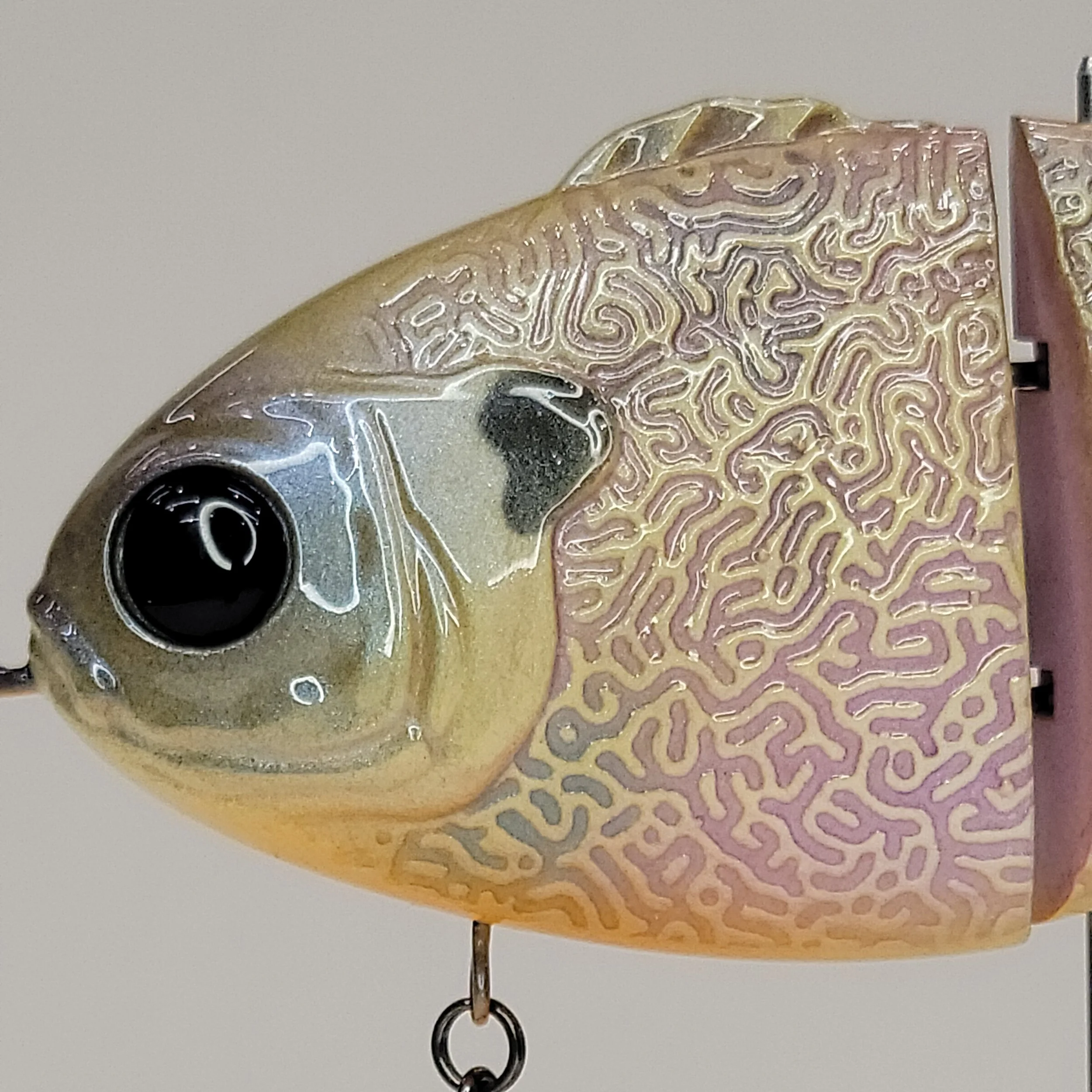 lite gill head.jpg