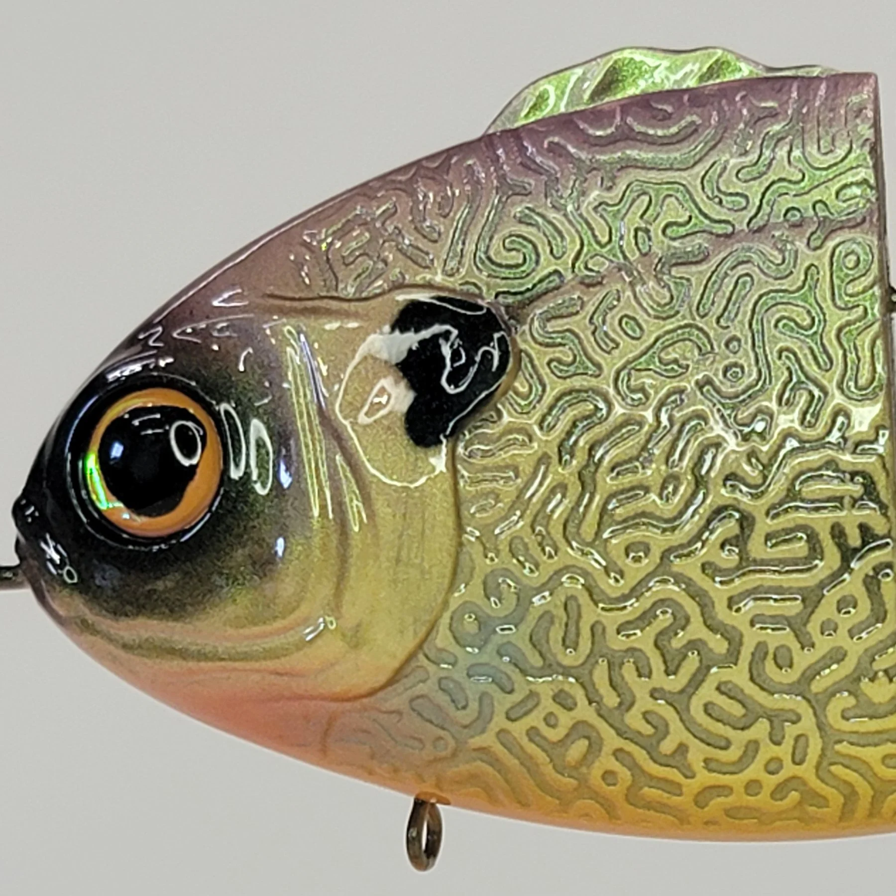 dark gill head.jpg