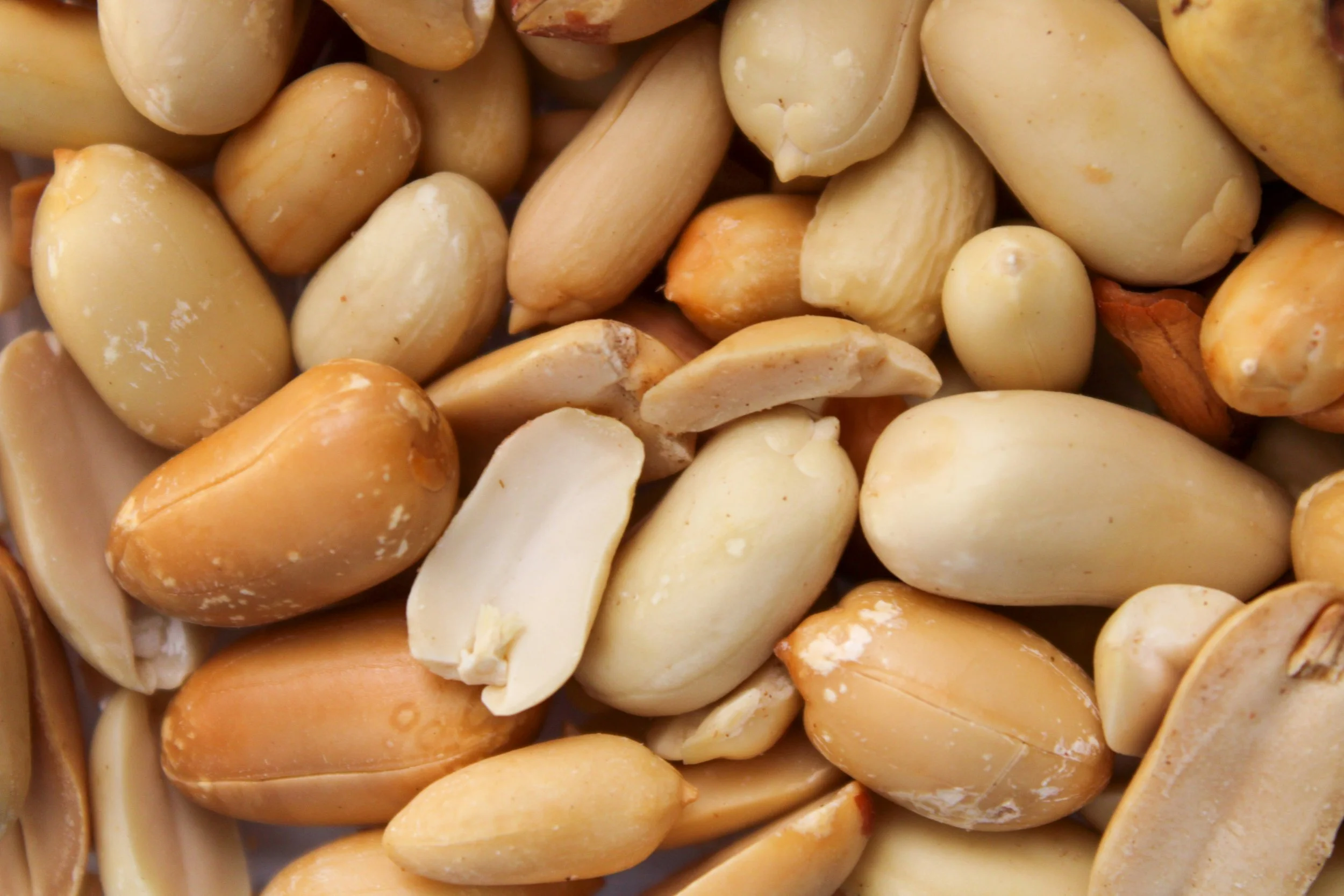 Allergy Information