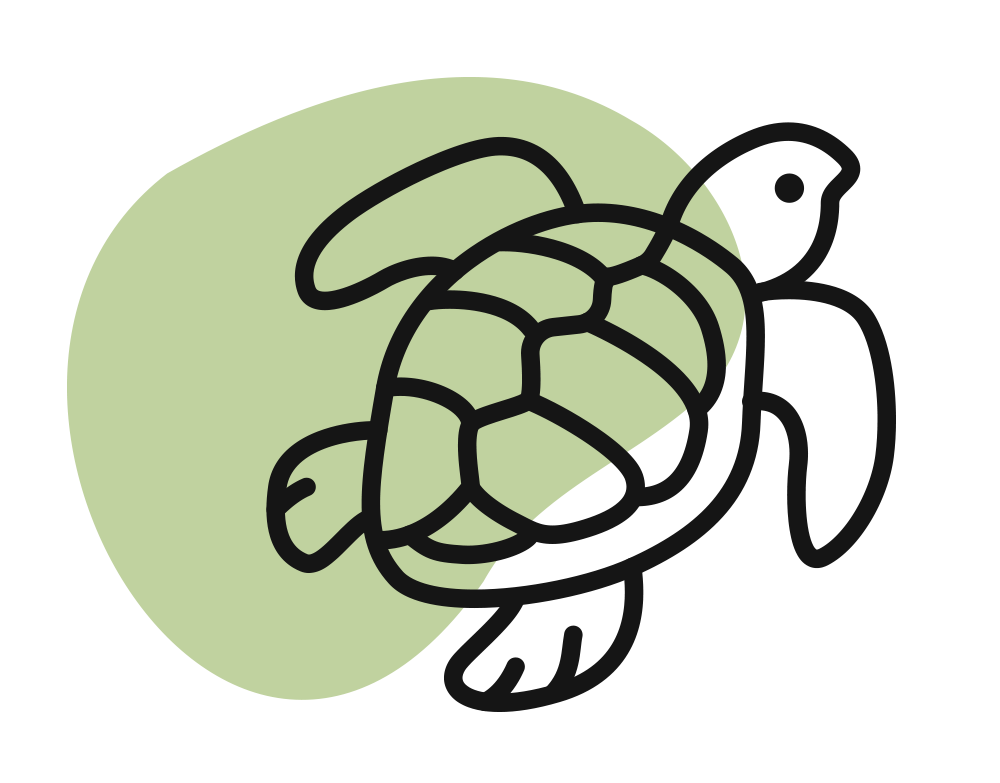 Line drawing of a sea turtle in front of a light green circle.