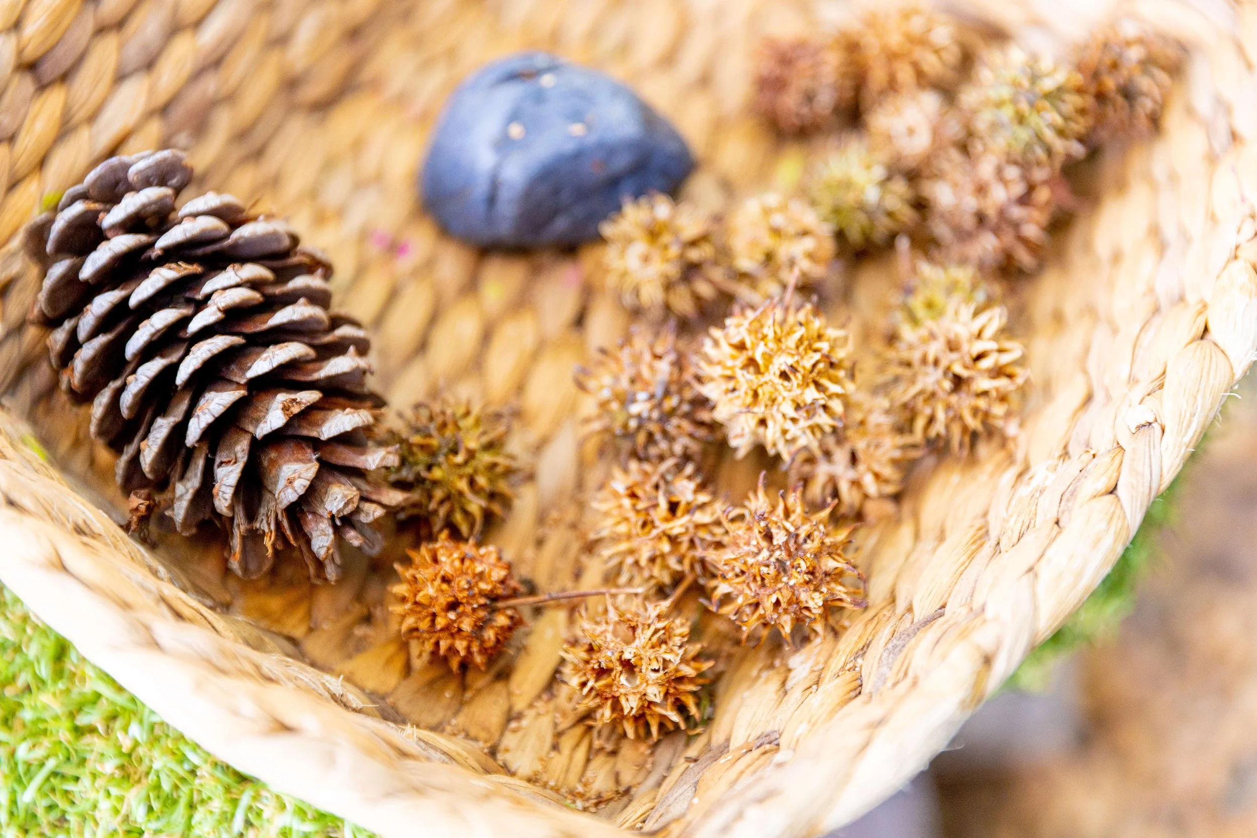 A woven basket containing a pine cone, a blue pebble, and several dried seed pods.