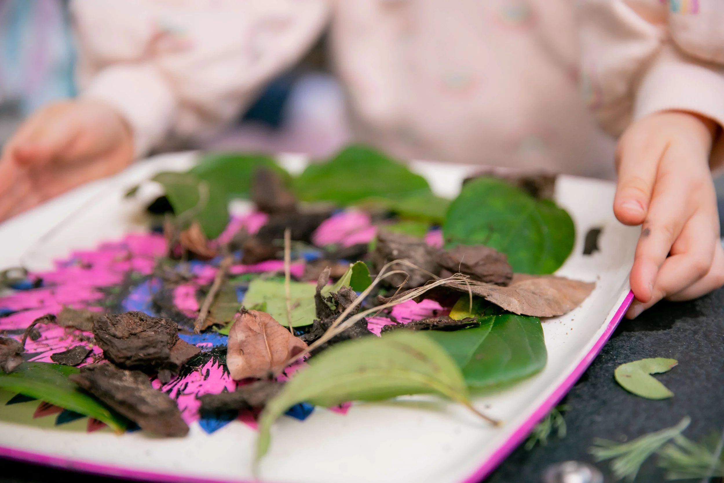 Child's hand touching a tray filled with various leaves and small twigs.