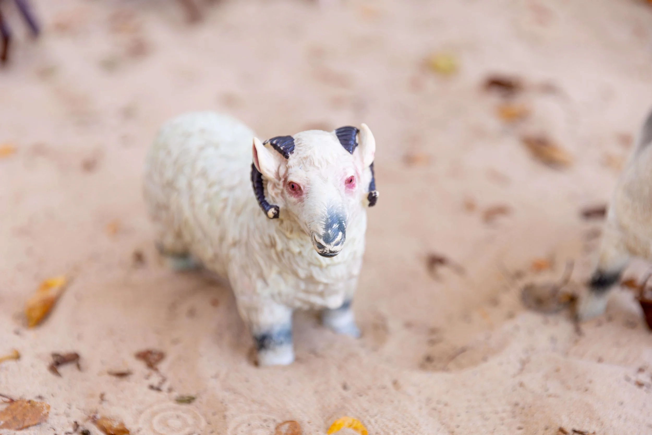 A decorative sheep figurine with black horns, pink eyes, and a white fluffy body standing on sandy ground with scattered leaves.