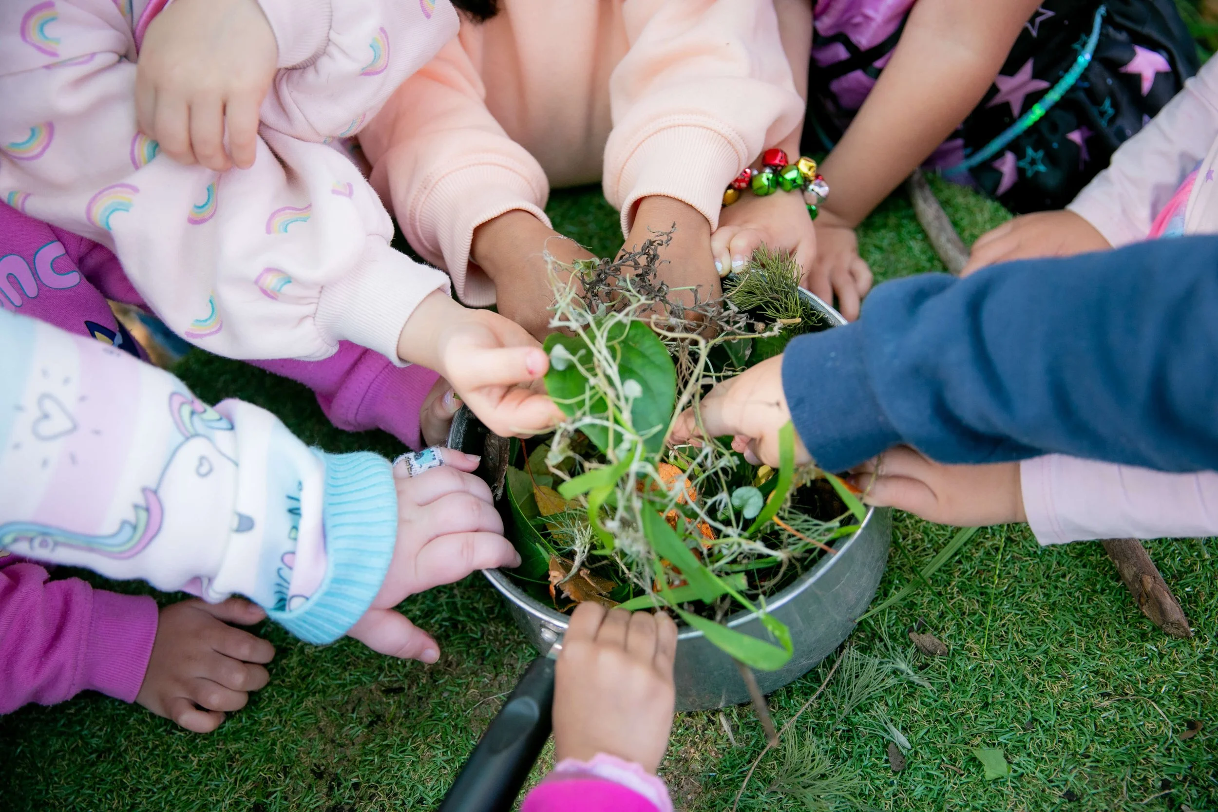 Children's hands reaching into a plant-filled container outdoors, exploring and tending to the plants.