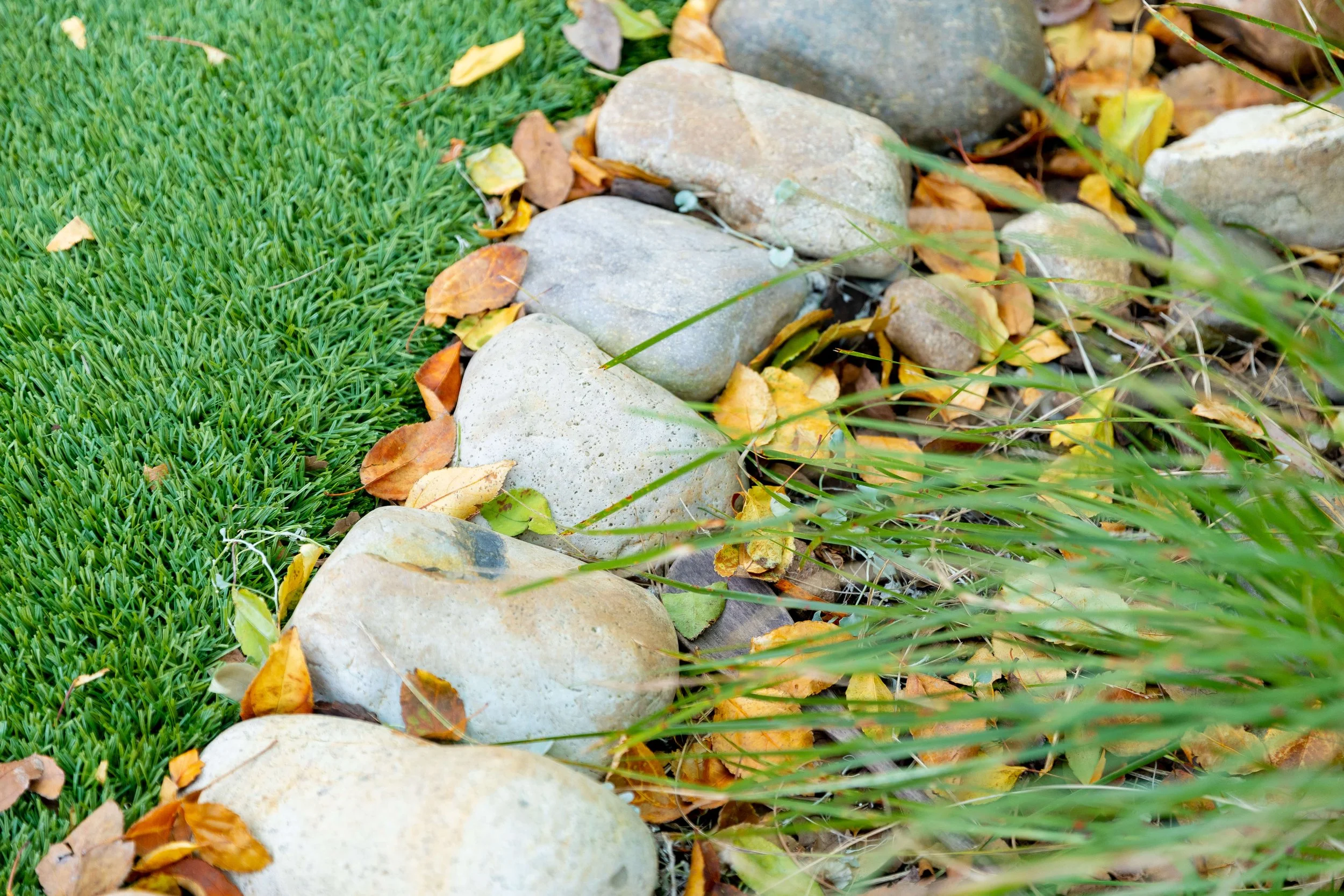 A garden with a row of large, smooth stones separating a patch of lush green grass on the left from yellow and brown fallen leaves and grass on the right.