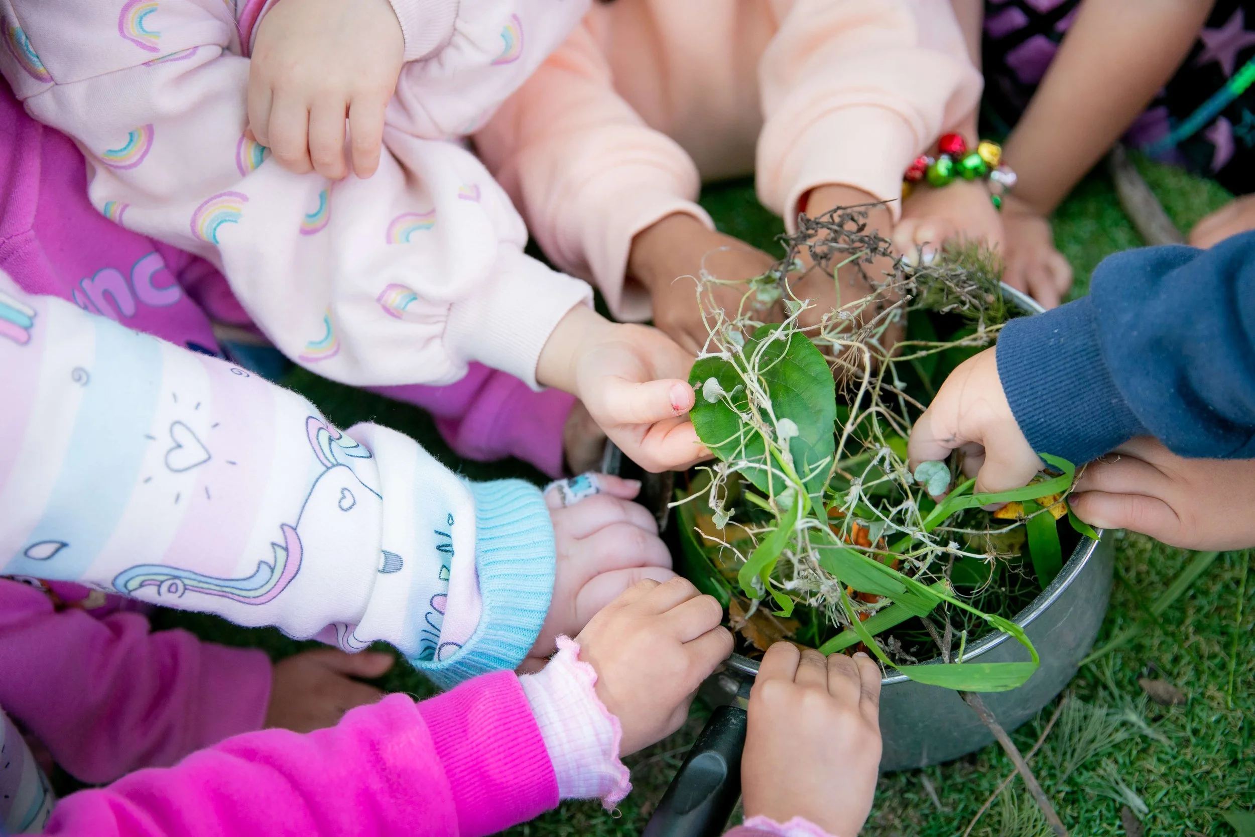 Multiple children are gathered around a pot examining a small plant with leaves and vines, some of which are dried out, on a grassy surface.