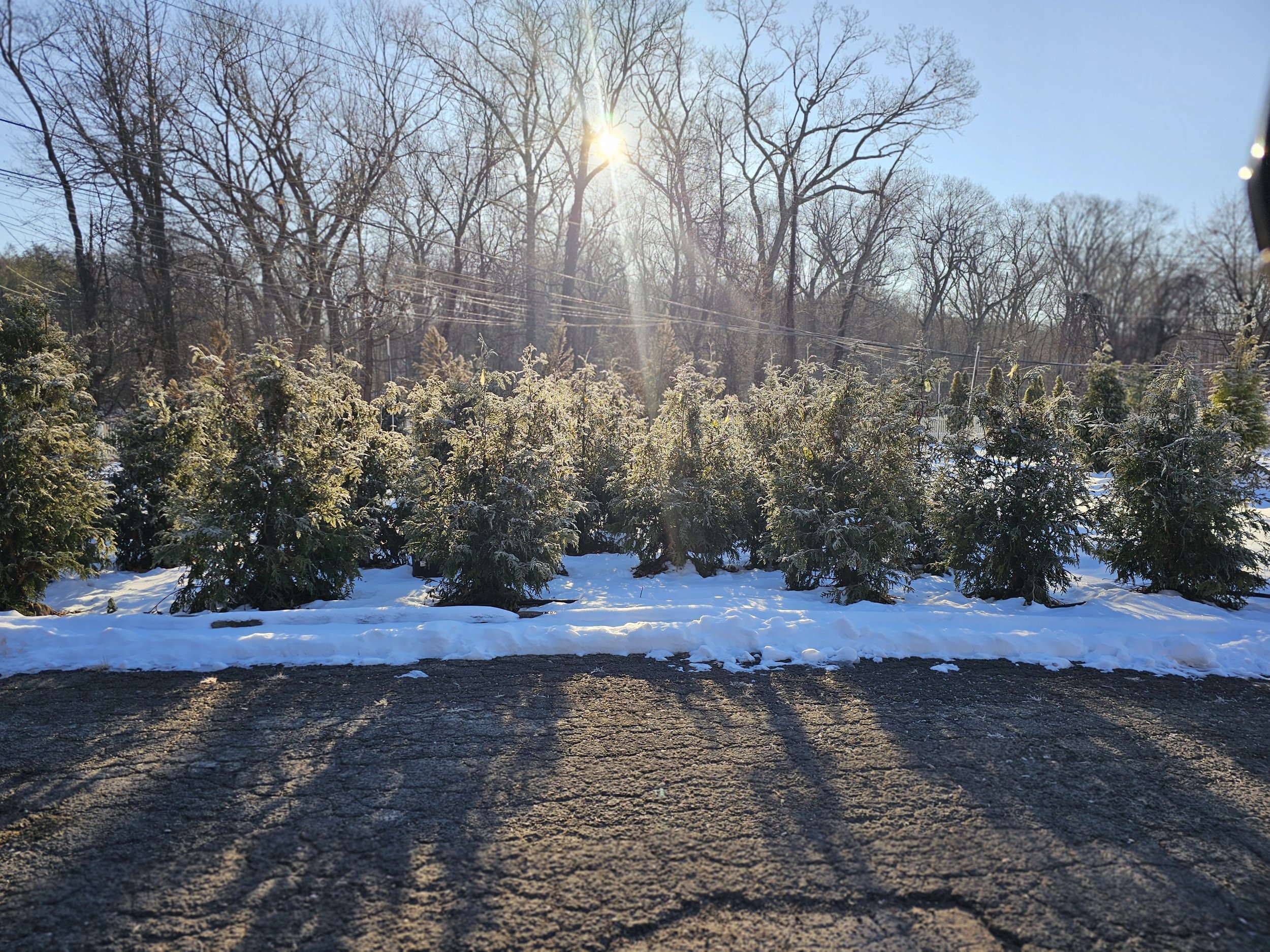 A Look Ahead at Designs by Lee