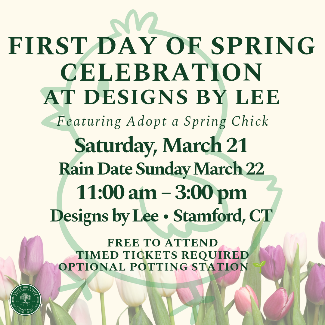 First Day of Spring Celebration at Designs by Lee