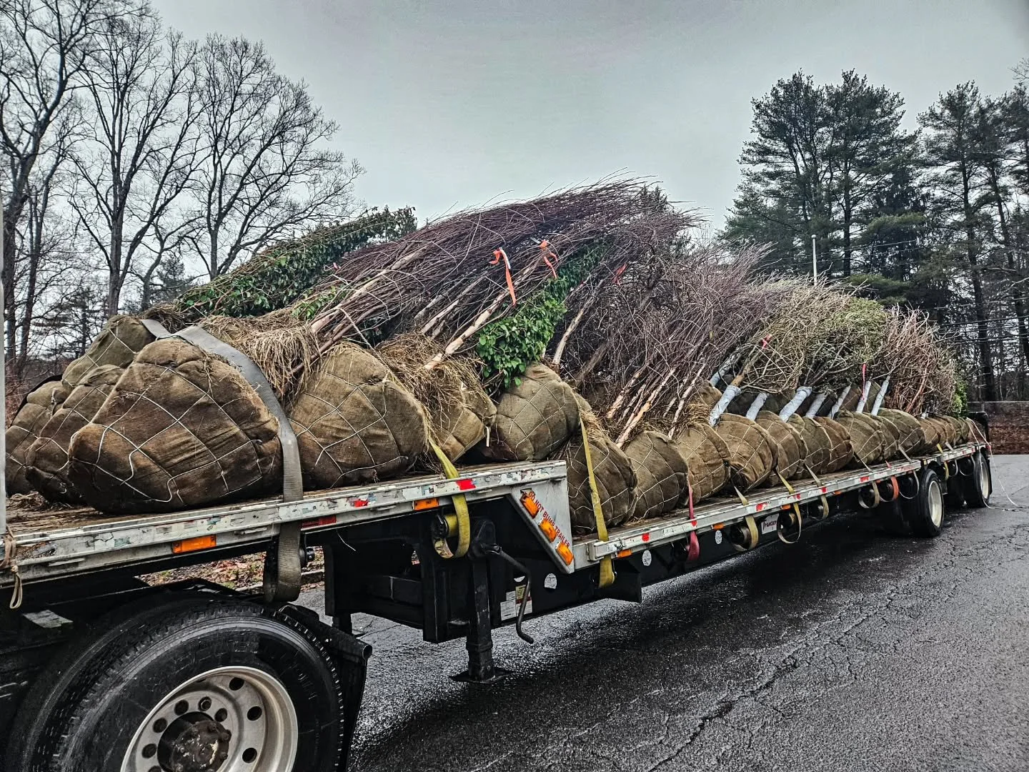 It&rsquo;s spring time 🌿

The trucks are rolling in and the garden center is starting to come back to life.

Trees and shrubs are arriving, new plant material will be coming in weekly, and things will keep filling in over the next few weeks.

We&rsq