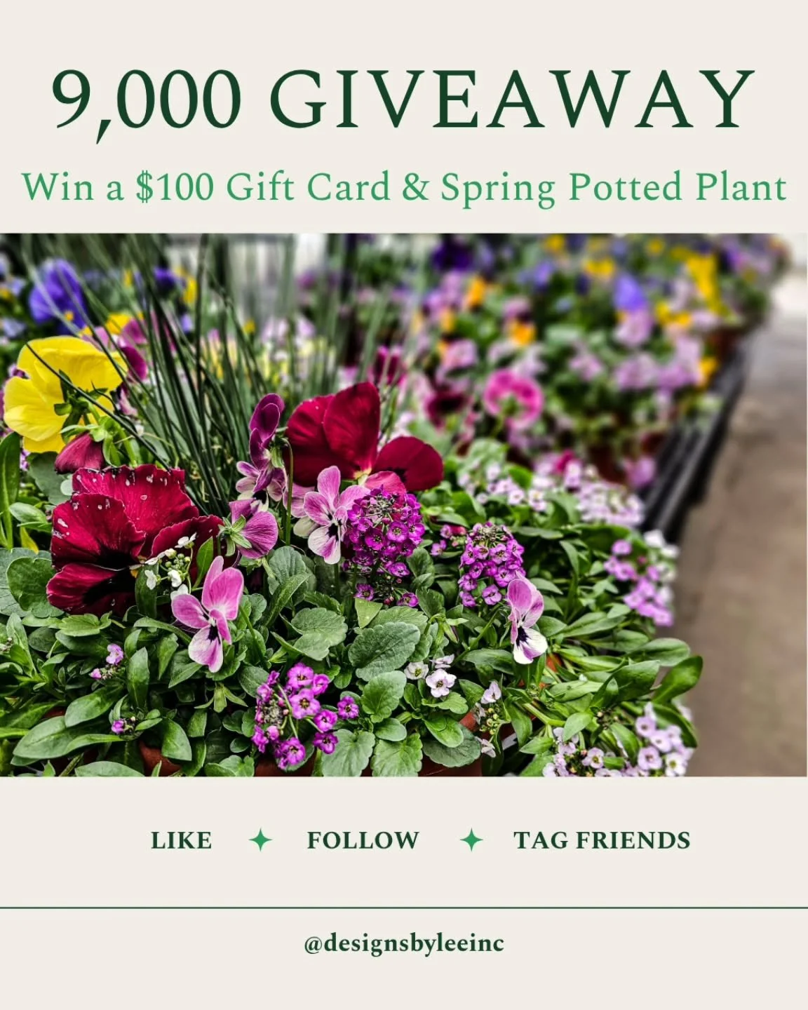 ✨ 9,000&hellip; wow 🤍

We&rsquo;ve been a garden center here in Stamford for years, and watching this grow into such a supportive, local community has meant more to us than you know.

So we wanted to say thank you 🌿

We&rsquo;re giving away a Sprin