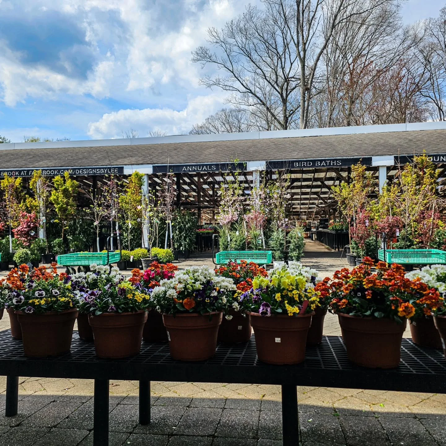 New shipment just in 🌸

Fresh mixed planters are here&mdash;loaded with pansies, violas, and cool-season color that can handle these chilly nights.

Perfect for your front steps, patio, or to brighten things up after winter.

They won&rsquo;t last l