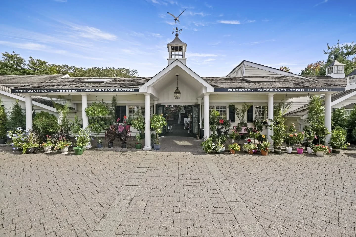 ☕️ Tomorrow at Designs by Lee 🌿

Coffee. Fresh baked goods. Plants.

Join us Saturday from 9&ndash;2 for a pop-up with
@onthebrew.coffeeco + @elizabethsveganbakery

Start your morning with a latte, grab something sweet, and wander the nursery &mdash