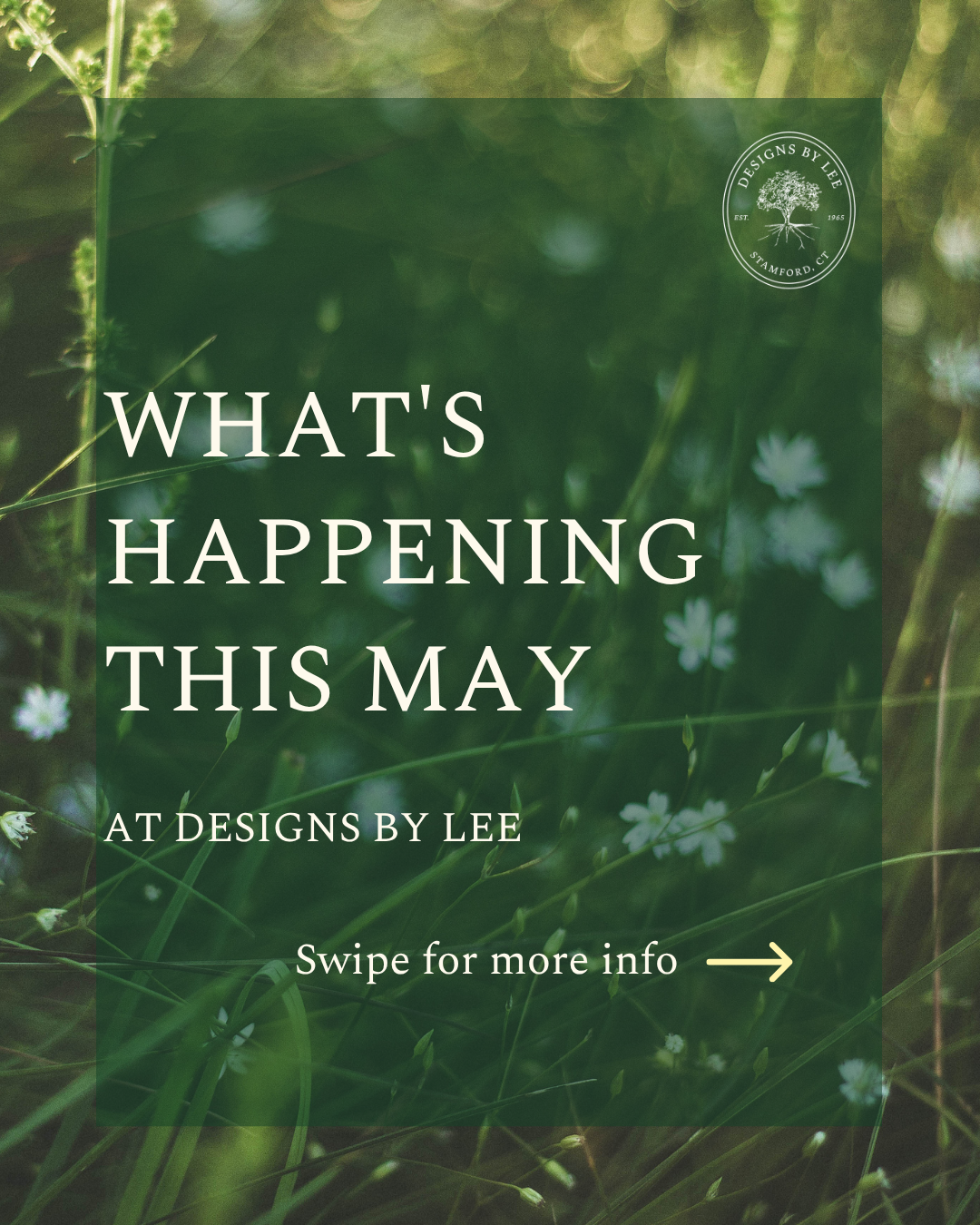 Things to Do in Stamford, CT This May (2026) | Events at Designs by Lee