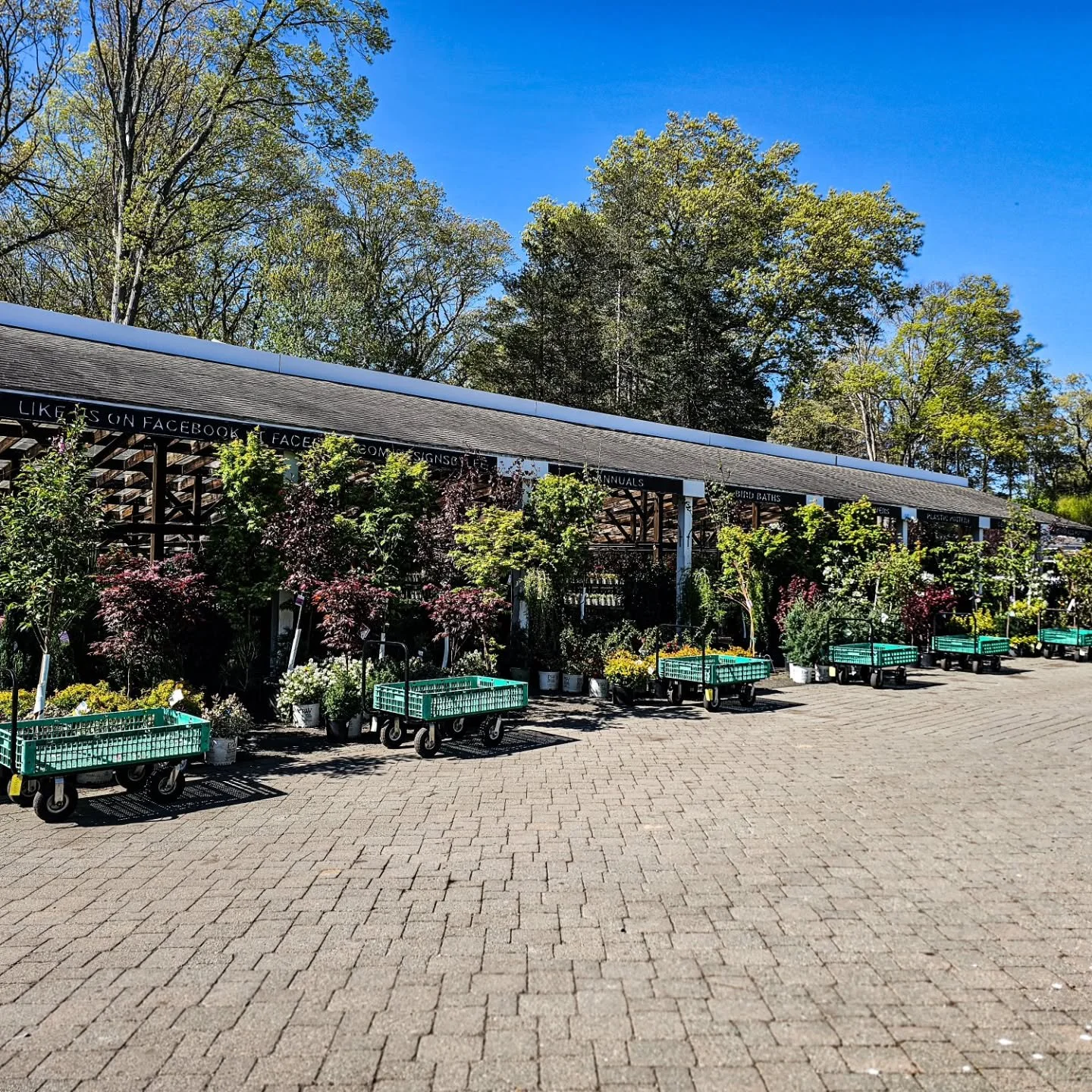 A lot to see right now 🌿

Come take a walk through the yard.

@onthebrew.coffeeco is back 9 to 1 &amp;
@ashiesbreadco

Open 9&ndash;5