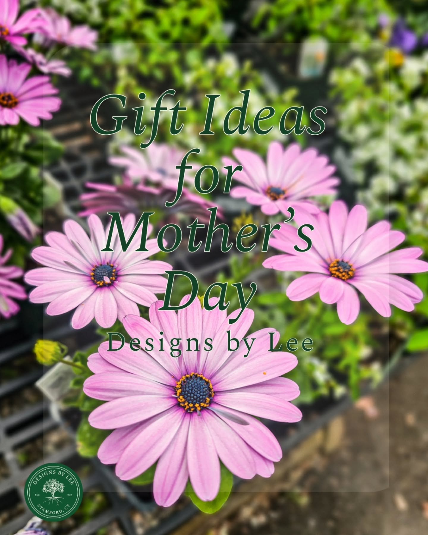 If you need a Mother&rsquo;s Day gift&hellip; this is it 🌸

From plants that keep growing to easy, ready-made gifts &mdash; we&rsquo;ve got something she&rsquo;ll actually love (and use).

Stop by, walk around, and pick something out in person &mdas
