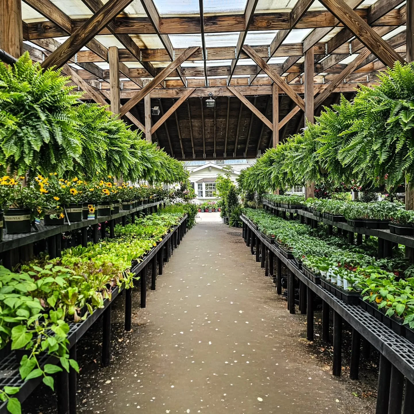 Vegetable garden season is here 🍅🌱

Tomatoes, peppers, cucumbers, eggplants, herbs, and more are filling in fast at the garden center.

Whether you&rsquo;re planting a few pots on the patio or a full backyard garden, now&rsquo;s the time to get sta