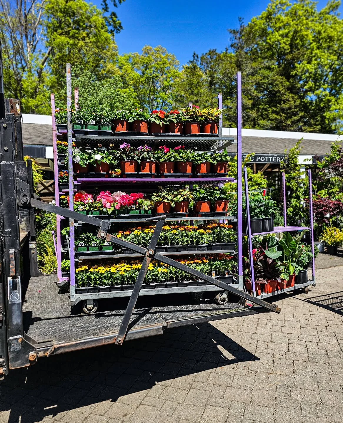 Fresh racks rolling in 🌿

Annuals, tropicals, patio plants, hanging baskets, and more arriving daily.

The garden center is packed right now ☀️

Open daily 9&ndash;5
📍Stamford, CT