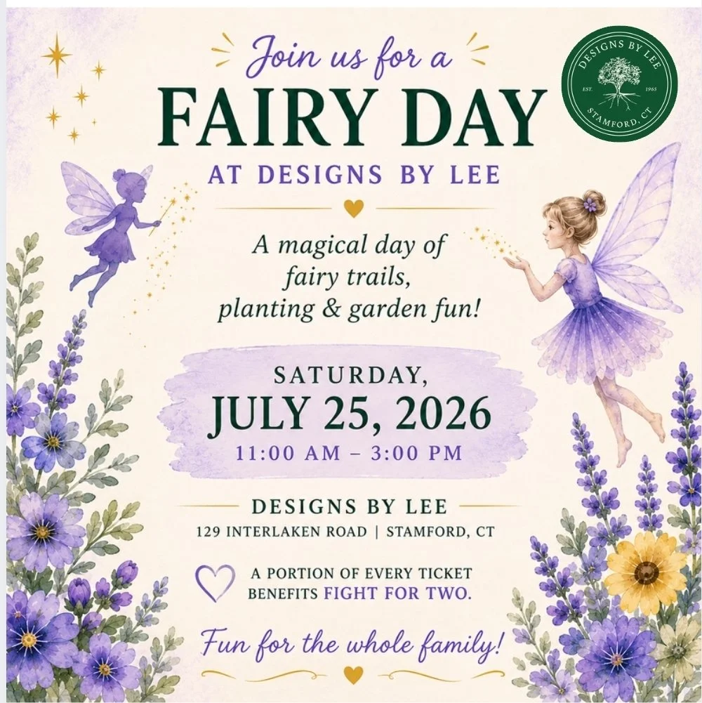 Fairy Day Returns to Designs by Lee on July 25! A Magical Family Event in Stamford, CT