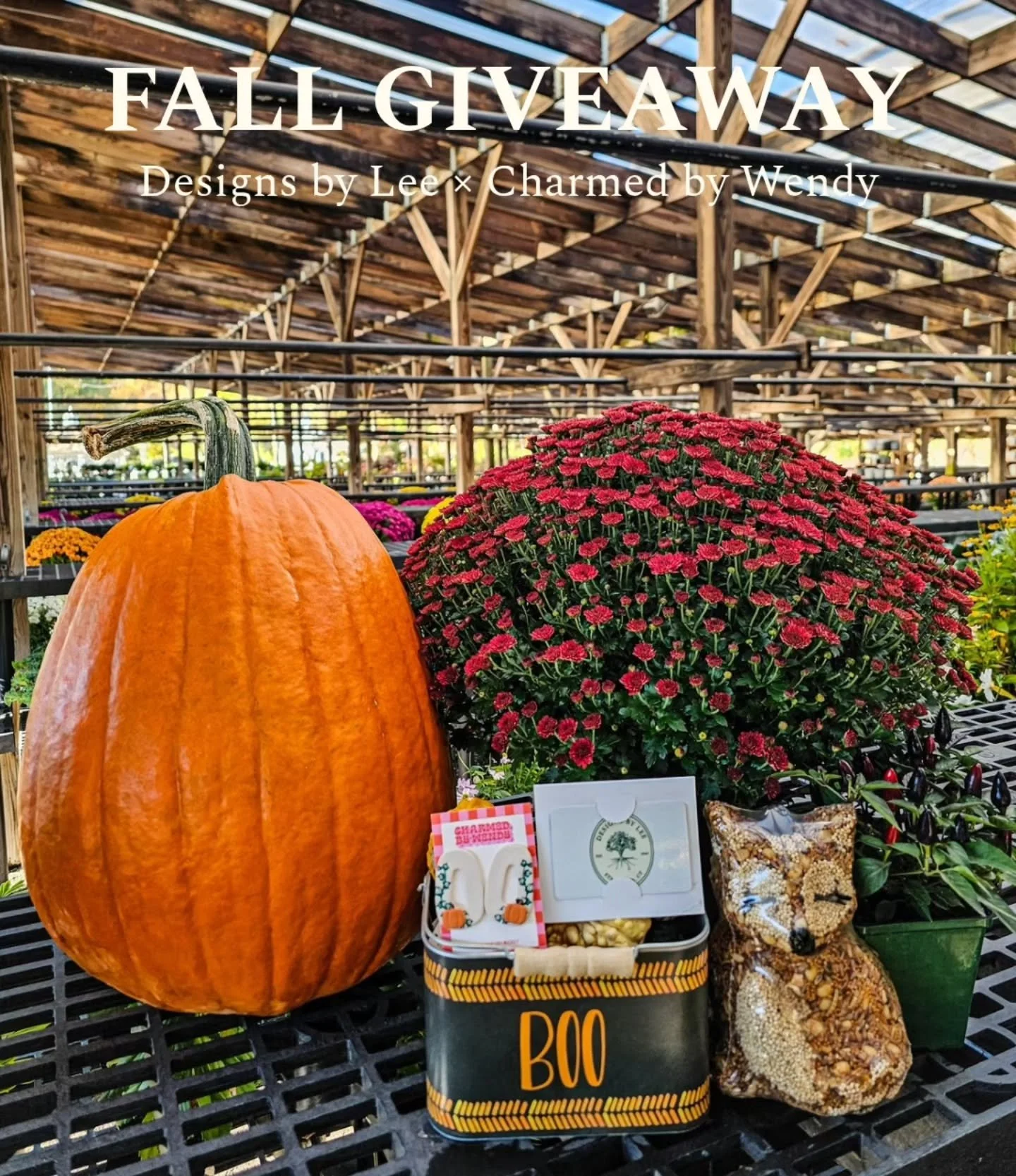 🍂 FALL GIVEAWAY! 🎃

We're teaming up with @charmedbywendy for a little fall fun! We've put together a bundle of fall goodies, and one lucky winner will take it all home!

Here's what's included:

🎃 A large pumpkin
🌼 A beautiful fall mum
🌶️ An or