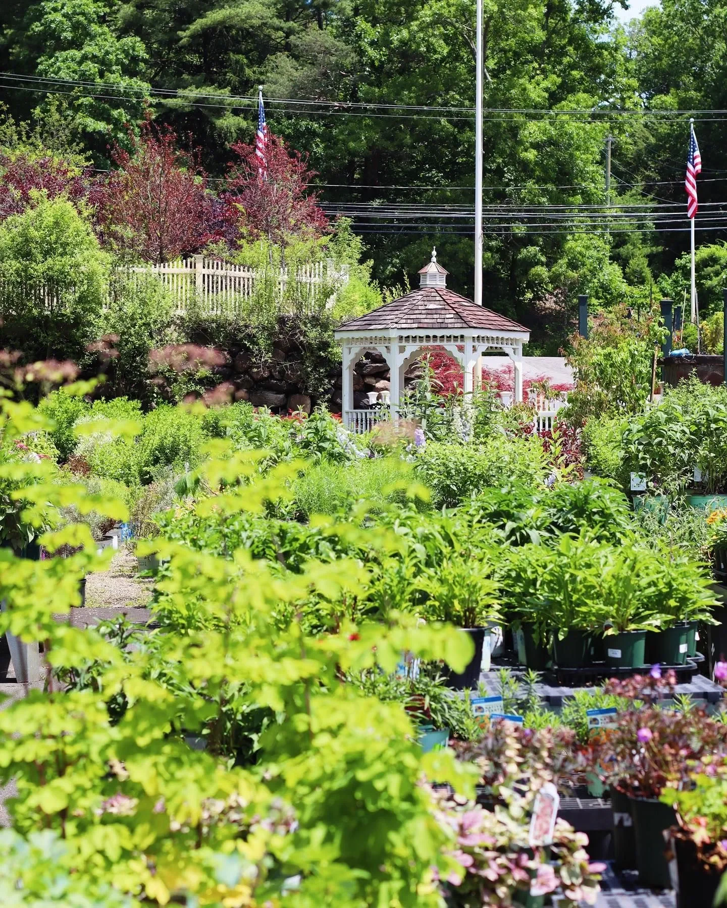 A lush garden with potted plants, a white gazebo, and flags flying, surrounded by green trees and colorful flowering bushes during daytime.