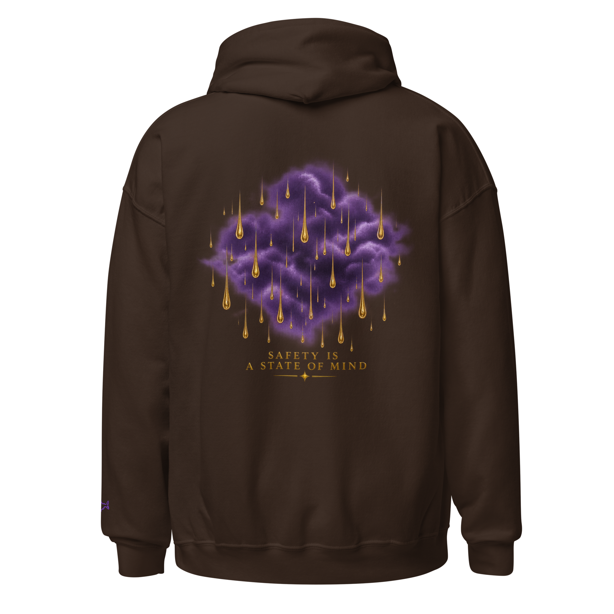 unisex-heavy-blend-hoodie-dark-chocolate-back-6aa2fe0ded4c0.png