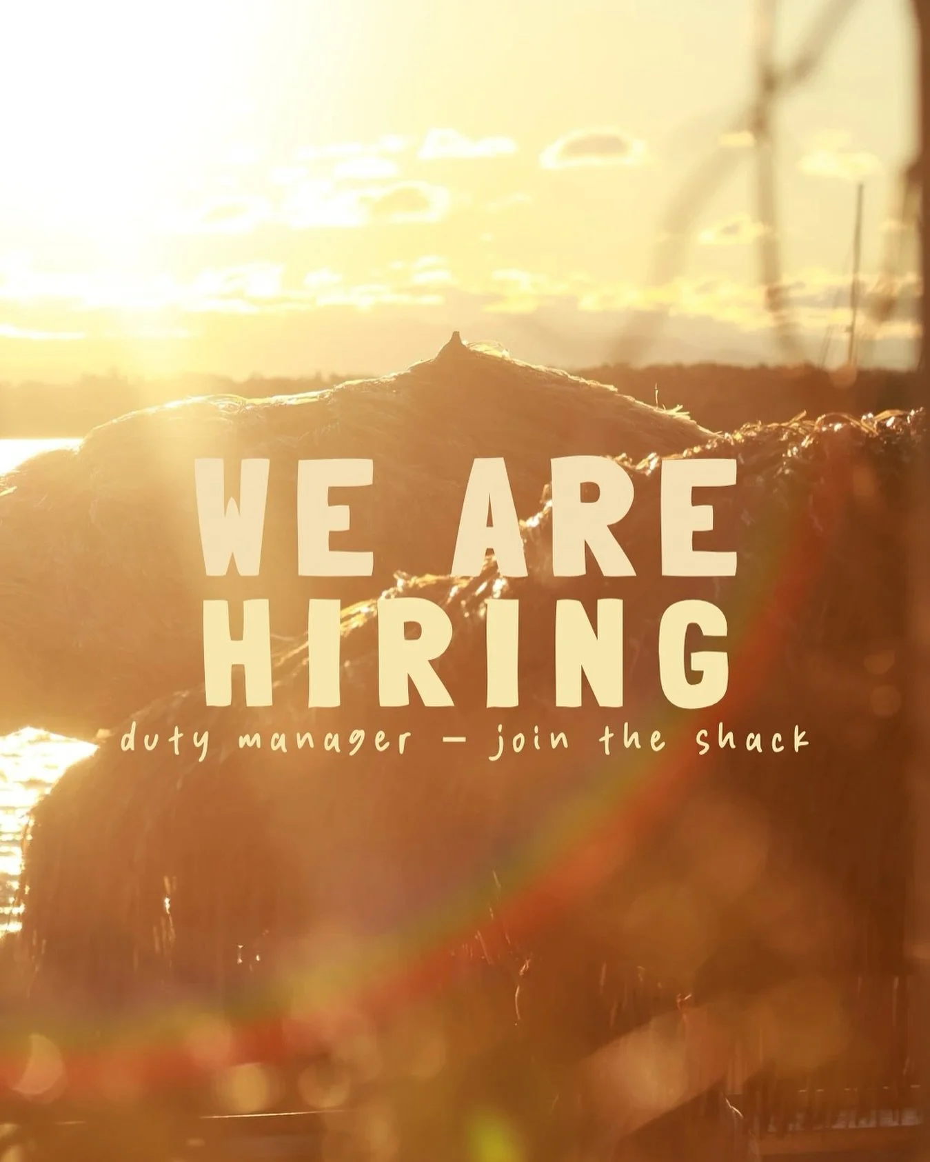 Hey! We&rsquo;re hiring a duty manager @ Little Shack &mdash; keen? 

Check the link in our bio + drop us a line howdy@littleshack.com.au

+ hospo experience necessary 
+ supervisory experience preferred 
+ great team culture 
+ best views in town 


