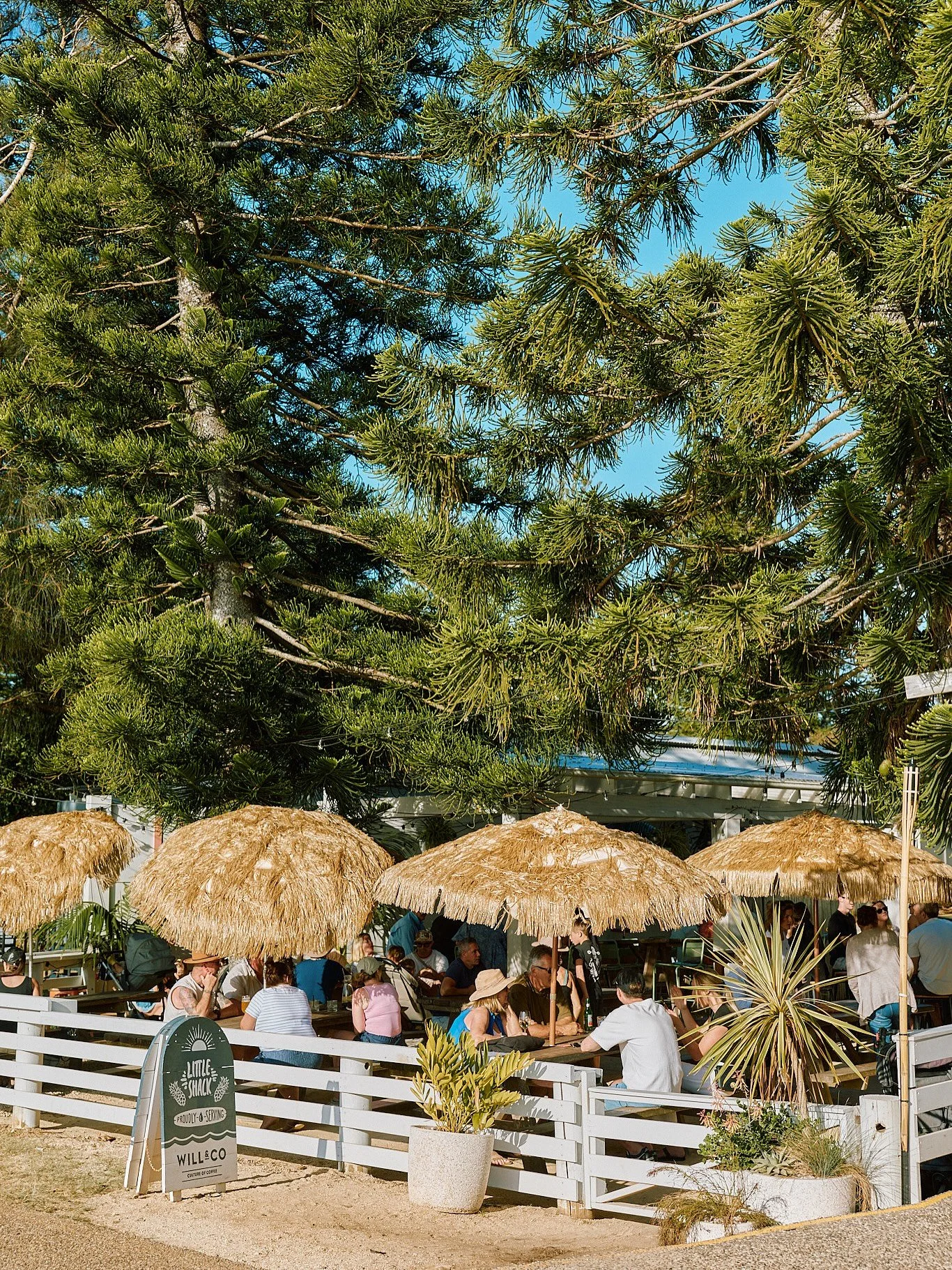 swipe for our wknd special 🌺🏝️

LS Vodka + Strawberry | 
Vodka + Pink filly strawberry liquor 
@threewisemendistillery 
house lemon Myrtle syrup
soda 

&mdash; enjoy 🌞
#littleshackportmac
