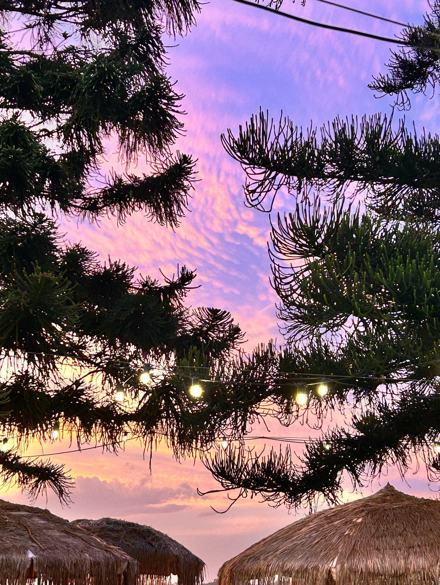 Our WK &mdash; WKND @ LS 🏝️🌞

sooo many yummy drinks, seafood specials + sunsets after storms 🥰🌺🏝️ das the island vibe we looove xx

+ yass our canned drink range is made to order! 
+ pop in this week to try out new matcha + lemon soda 

#little