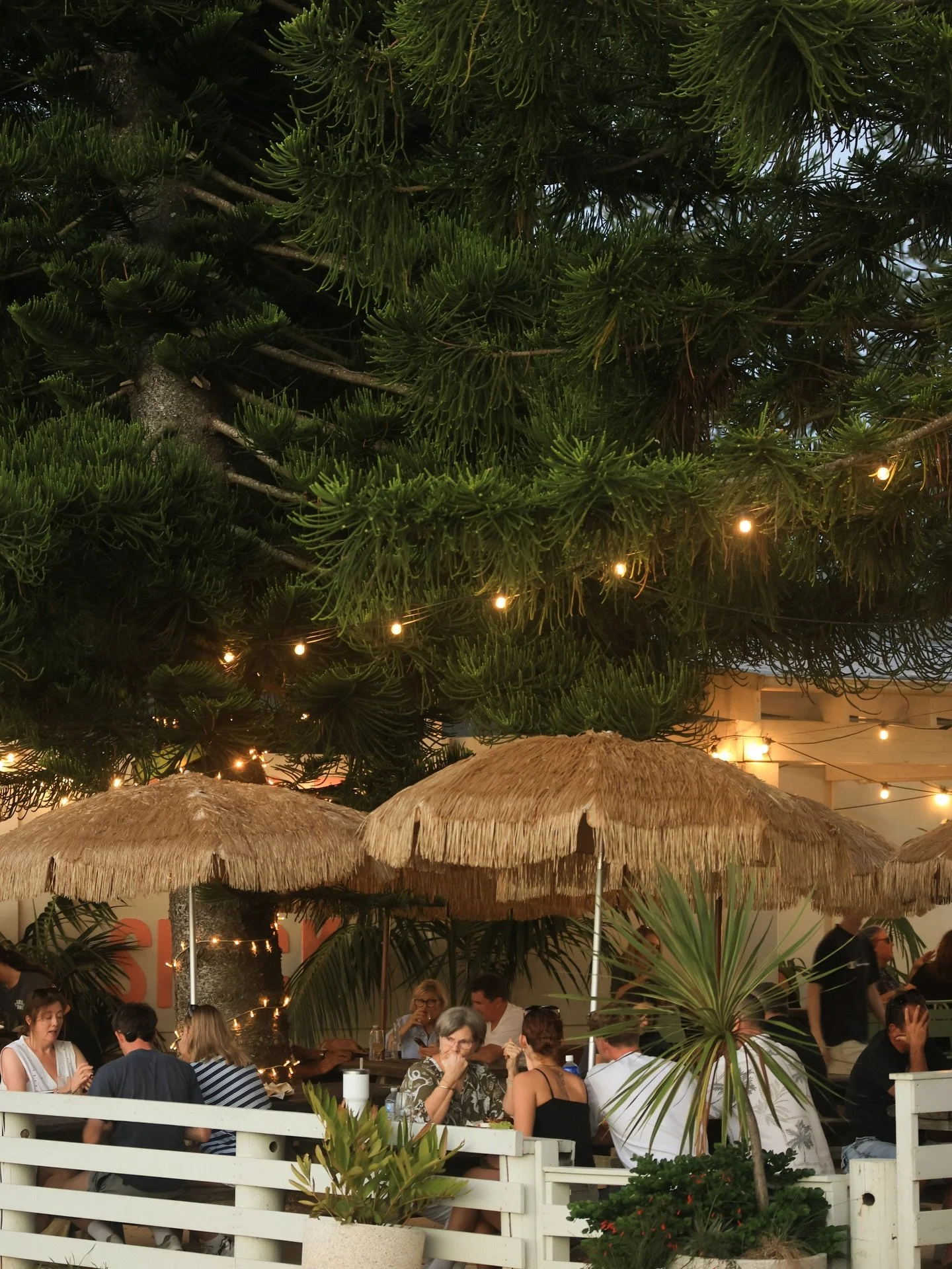 wknd vibes incoming&hellip;. 

see you at your spot 🏝️
#littleshack #littleshackportmac #cafe #bar