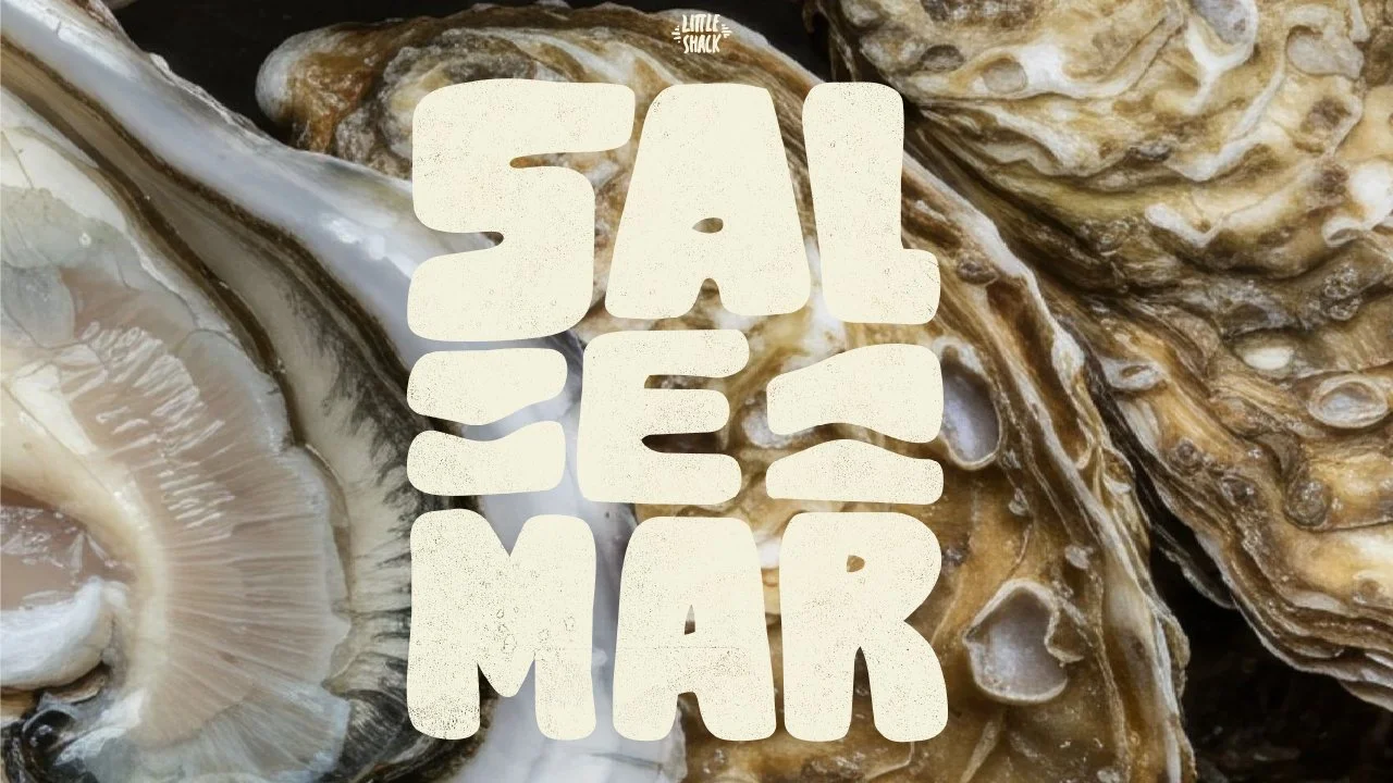 banner_salemar.jpg