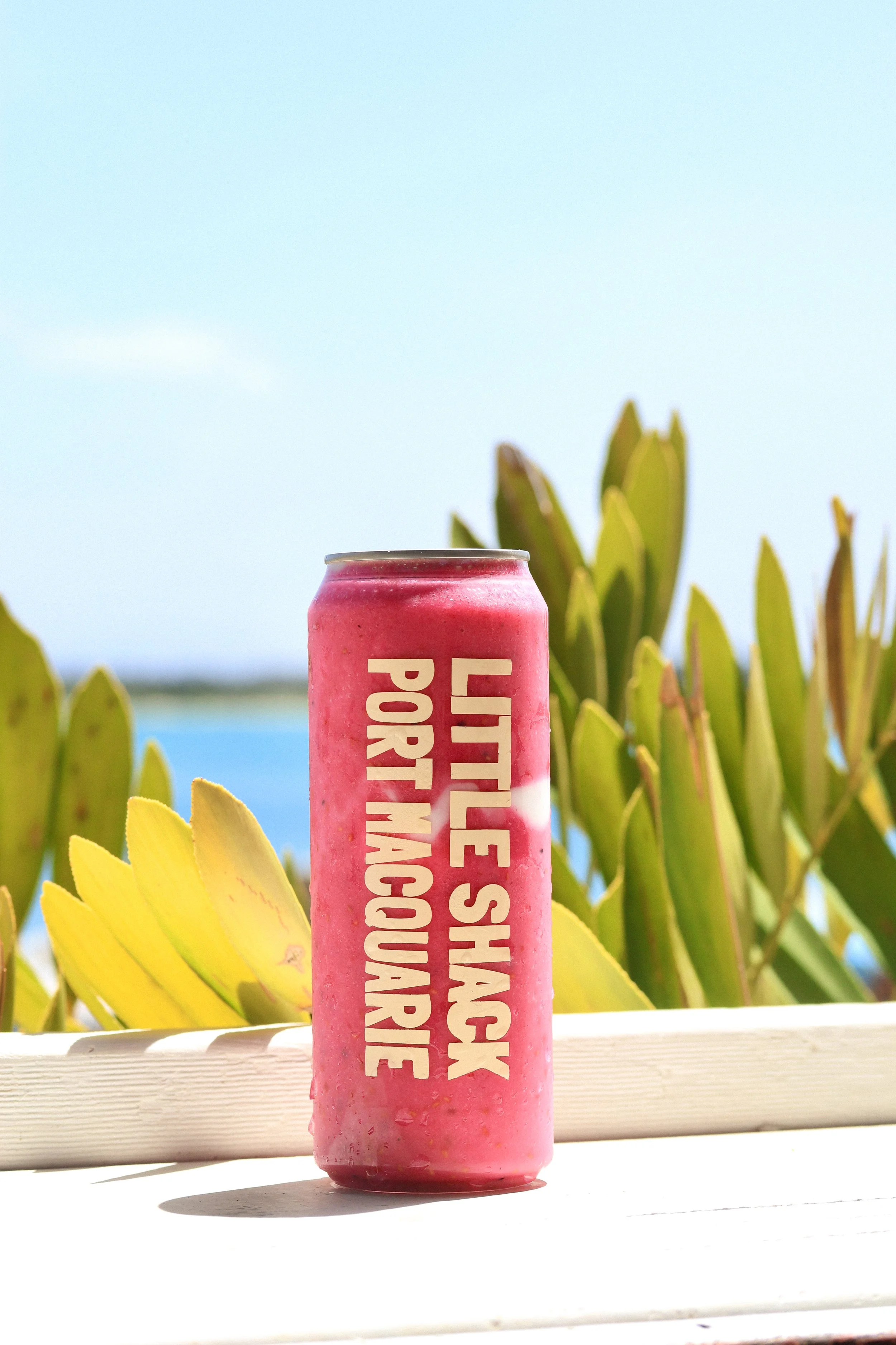 a branded little shack can, pink smoothie in front of the blue ocea