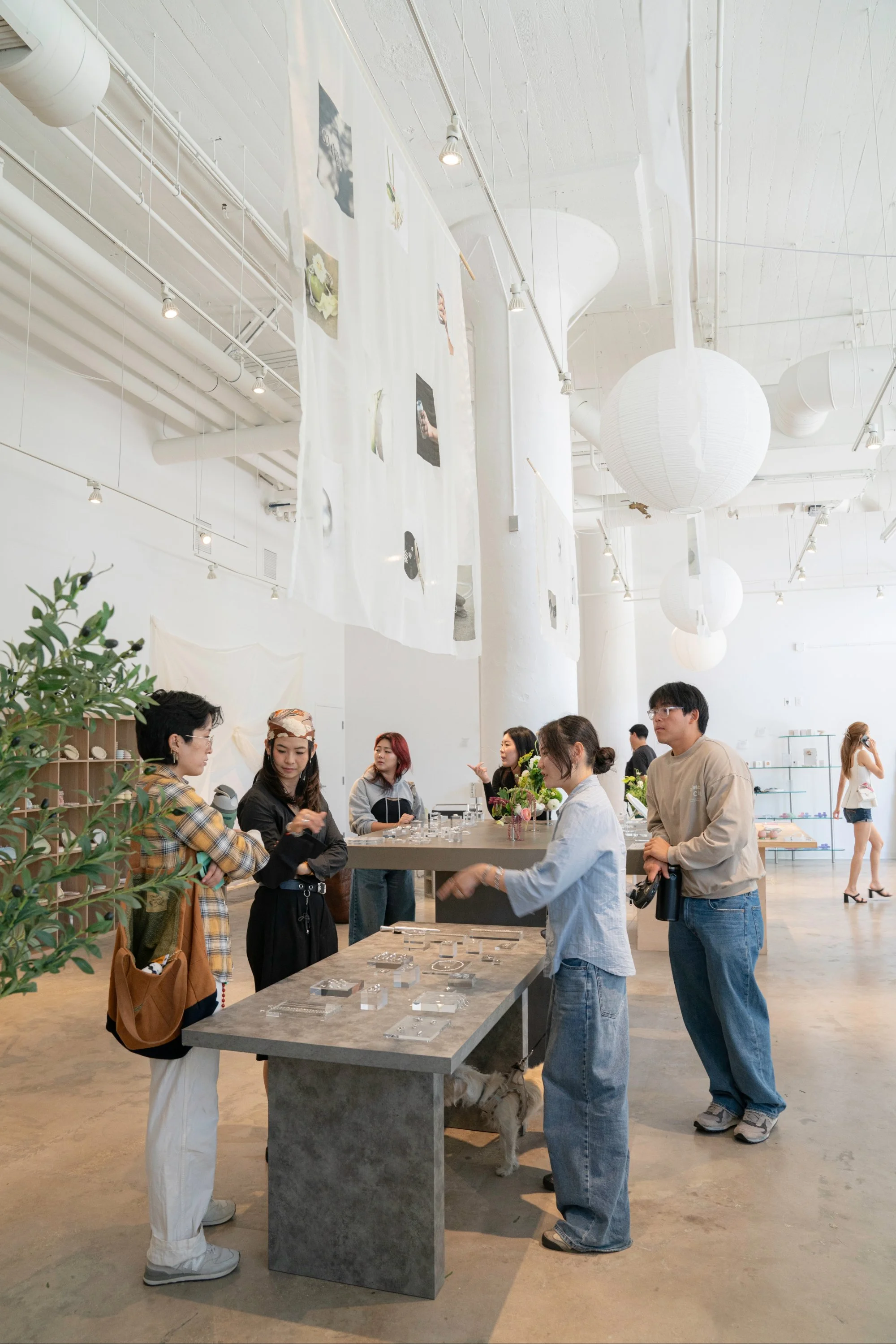 Claedo Studio | Discover Your Creativity