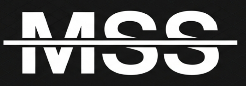 (MSS) Modular Security System