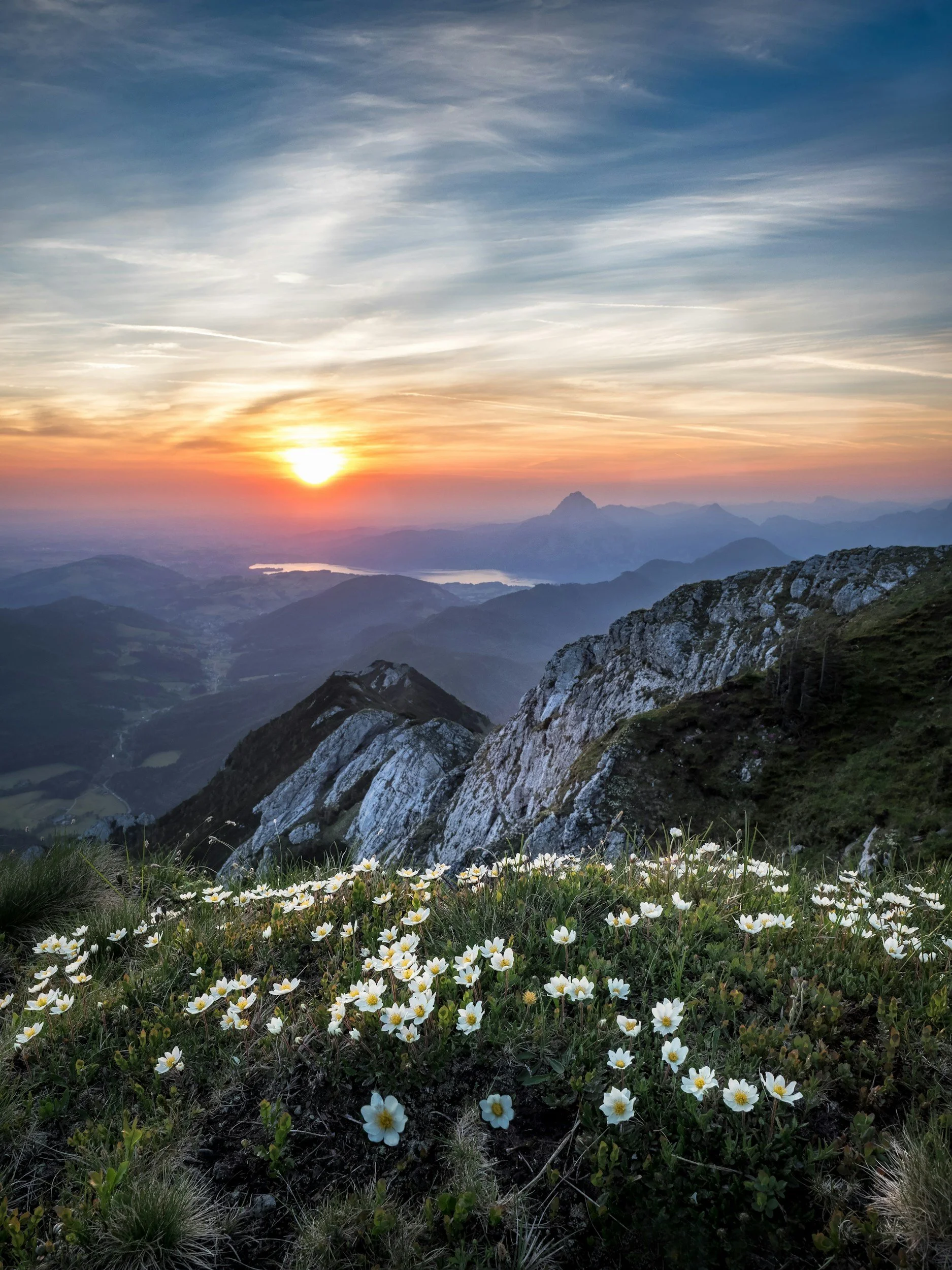 Vista landscape during sunset with rocky slopes in foreground, wildflowers, rolling hills, distant lakes, and a silhouette of a mountain range under a partly cloudy sky.