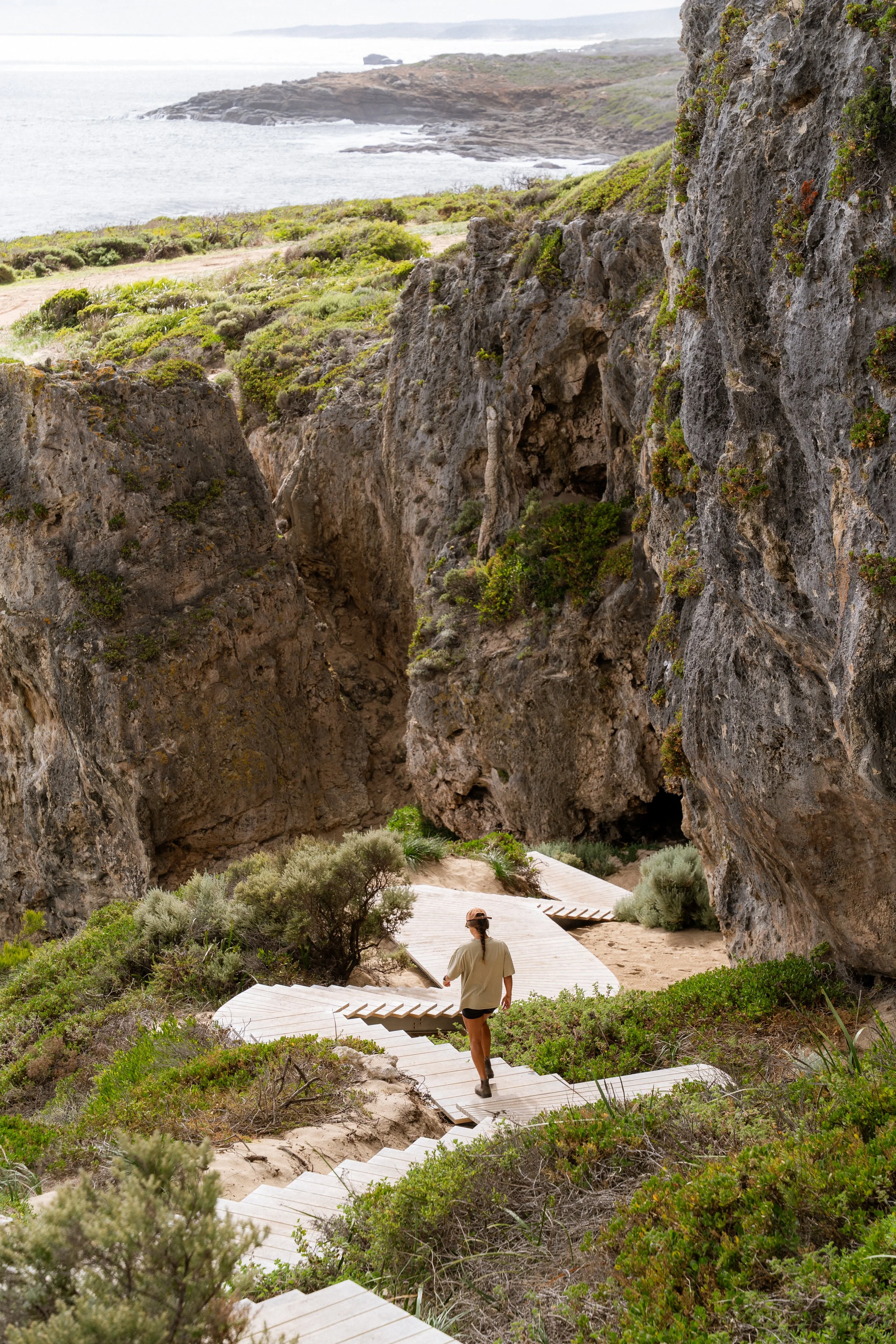 Bob's Hollow High Res-1.jpg