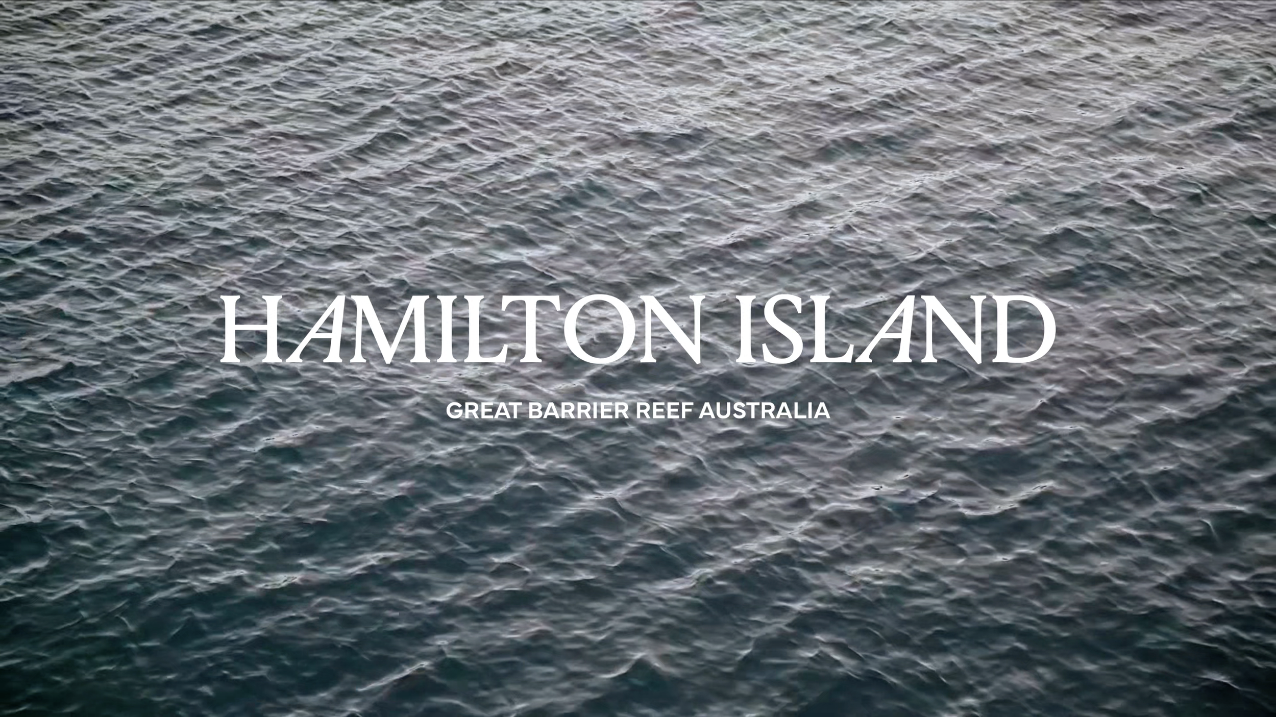 Screenshot 2026-02-12 at 12.25.20 pm.png