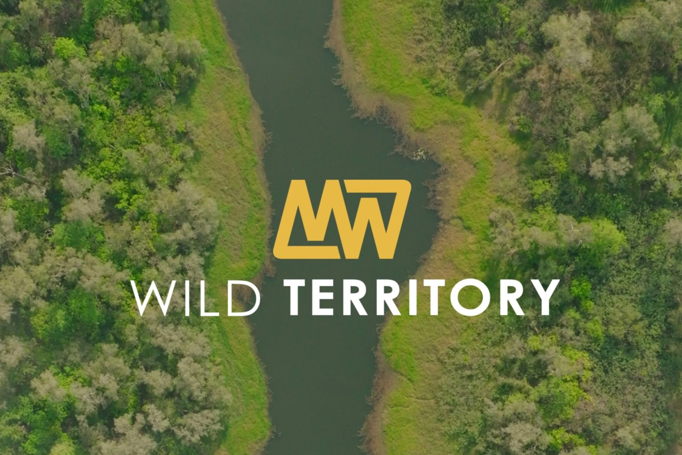 Untitled design (1).jpg