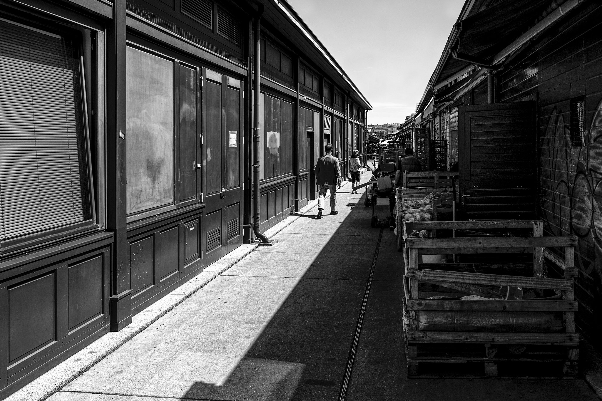 2026_031_207_SW.jpg