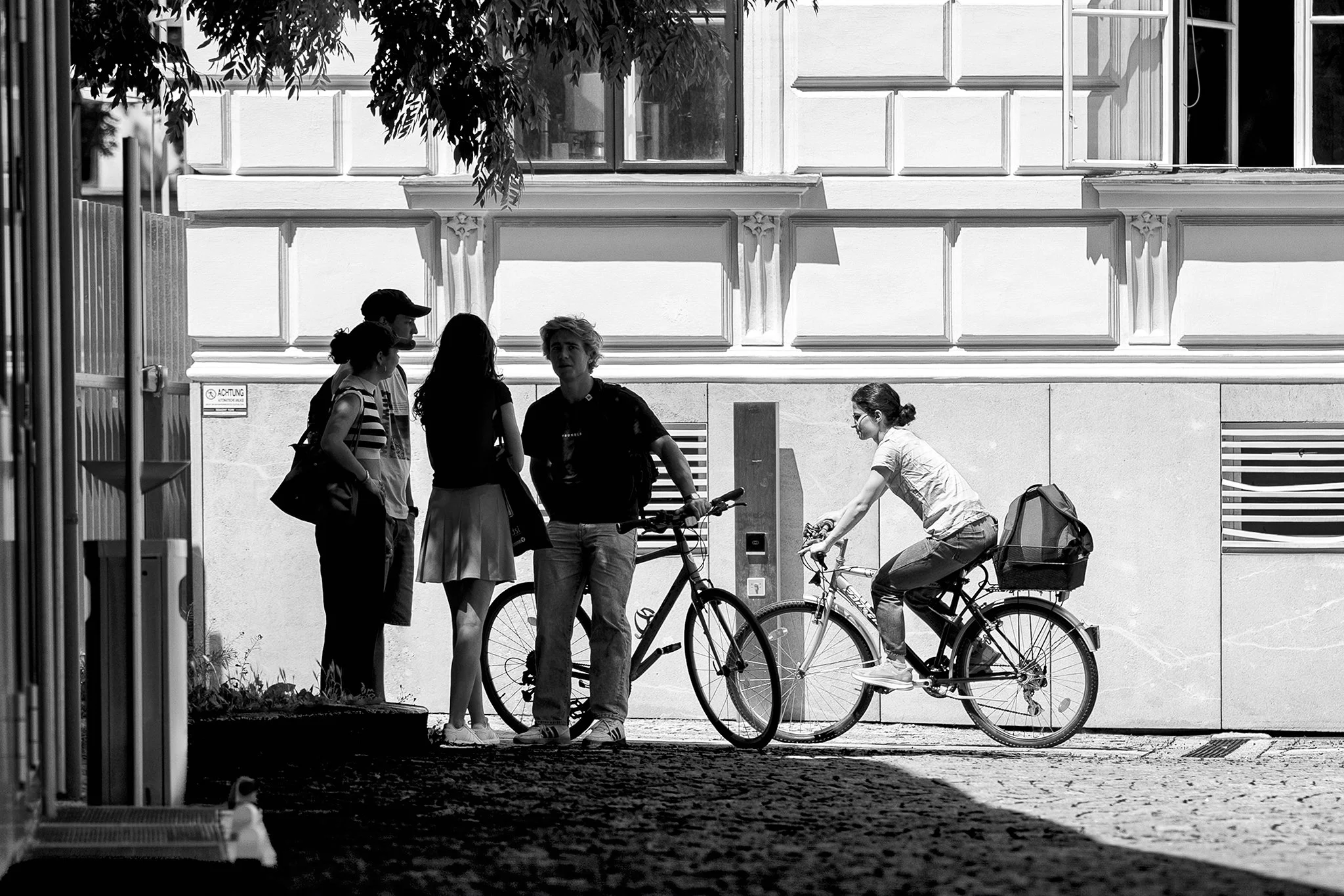 2026_031_264_SW.jpg