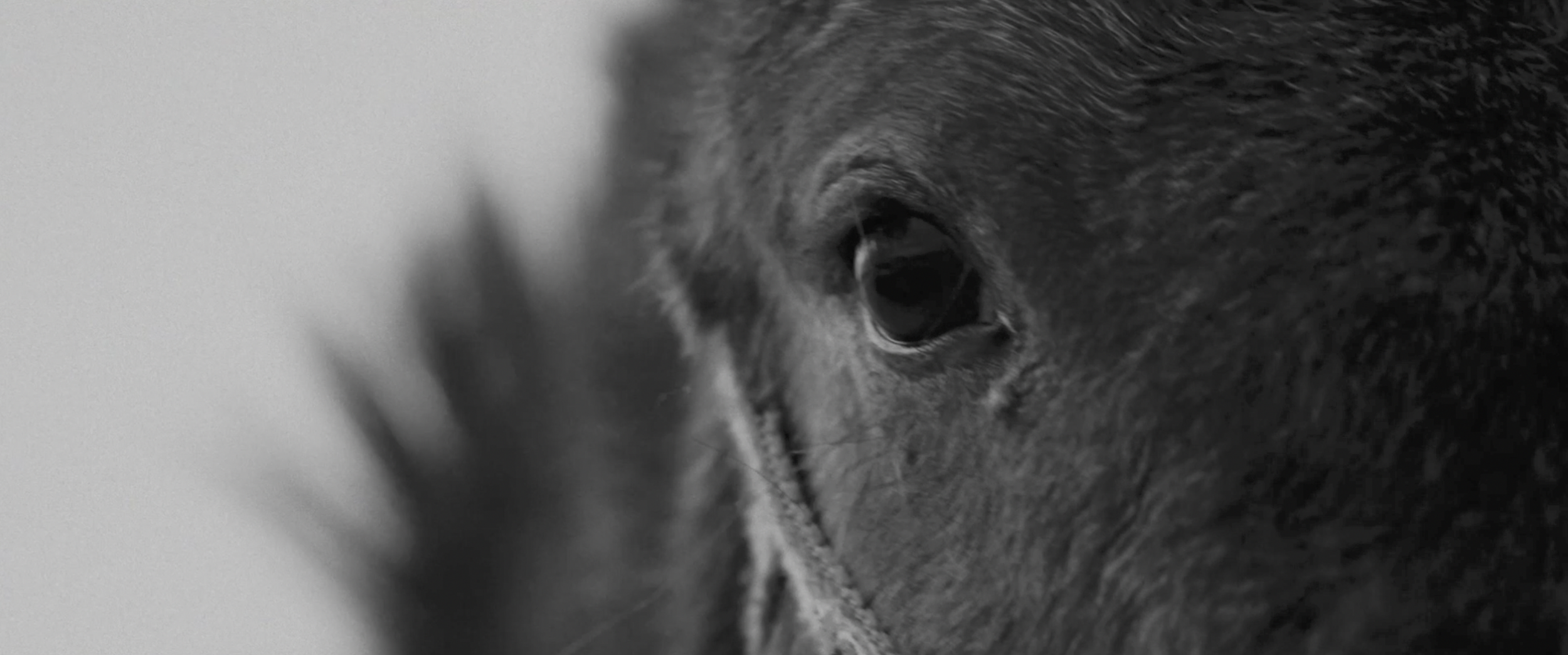 截屏2025-10-01 16.49.26.png