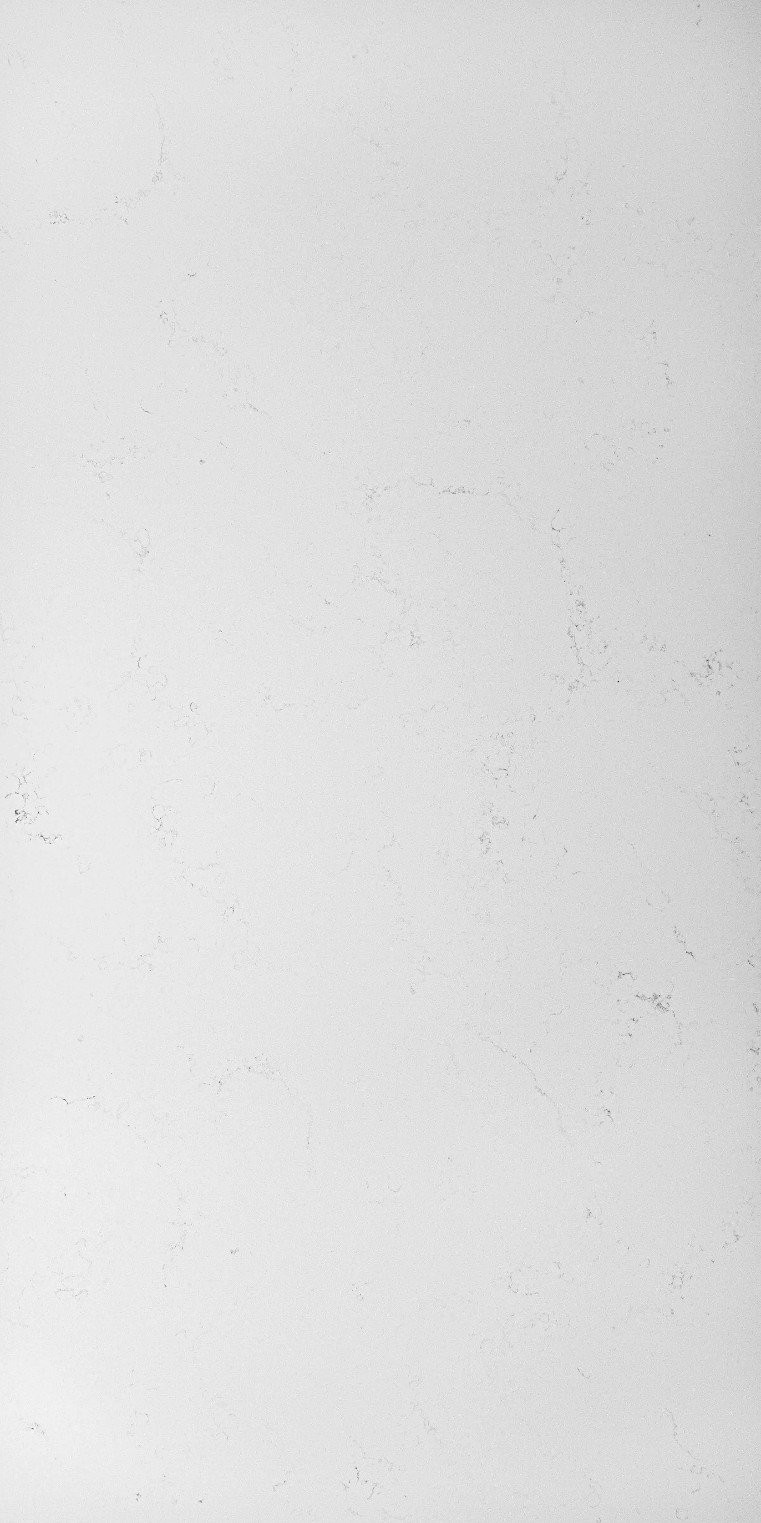 Empty white marble surface with subtle gray veining.