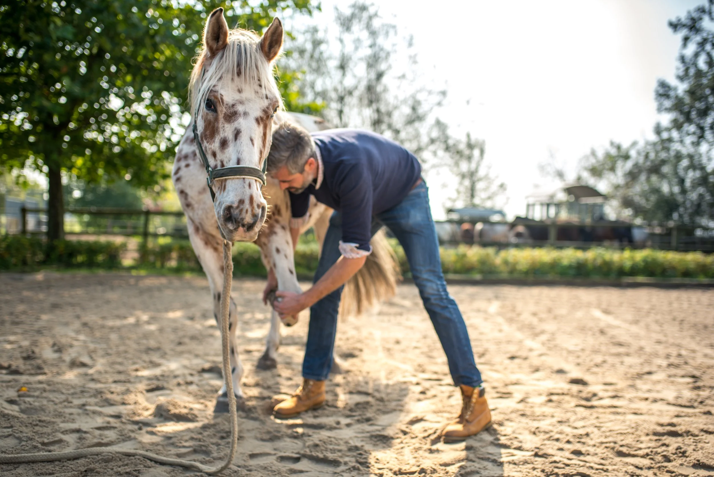 iStock-869695140.jpg