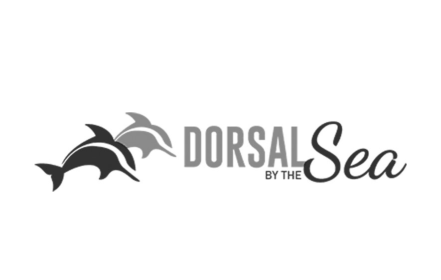 The Dorsal Boutique Hotel logo representing Arrow’s business planning, go-to-market strategy, and project management services for the tourism and hospitality sector.